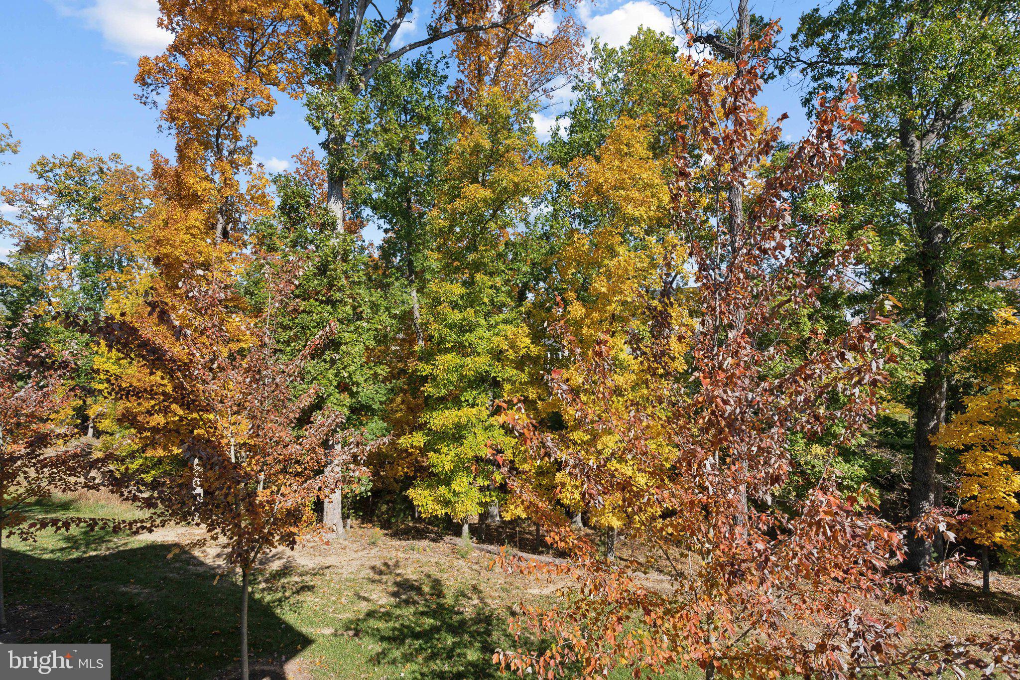 161 Towhee Dr