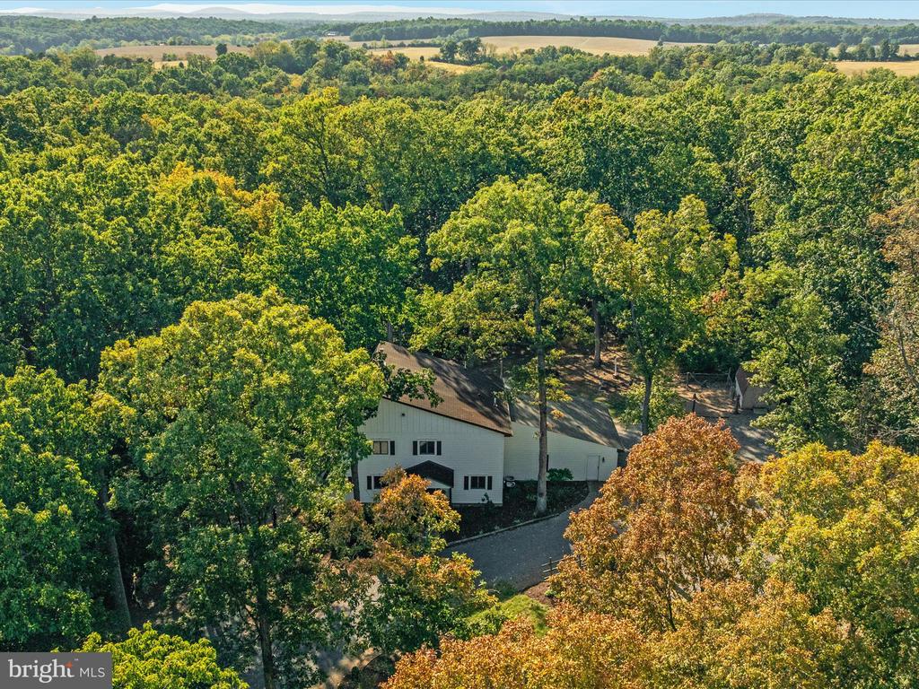 214 WALNUT DRIVE