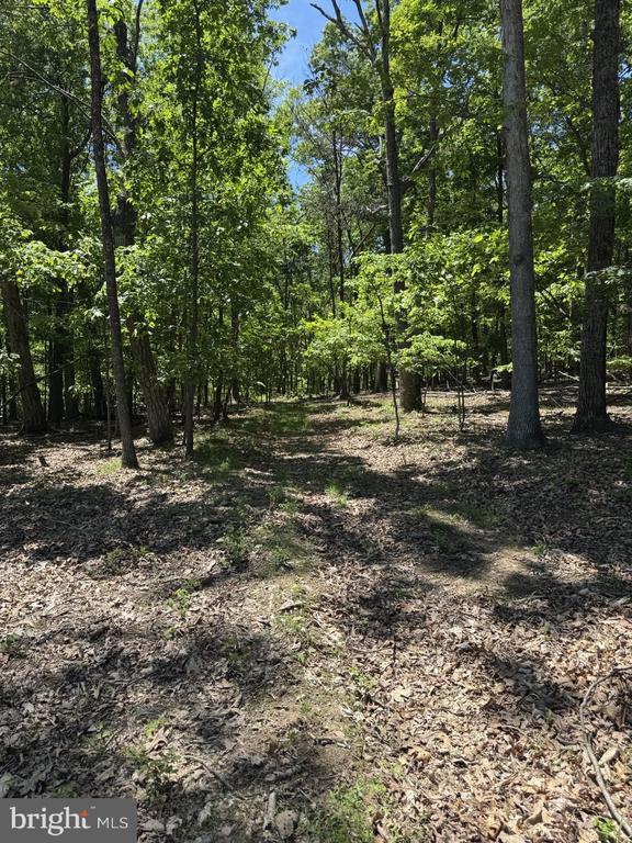 Lot 3 Ridgeview Rd