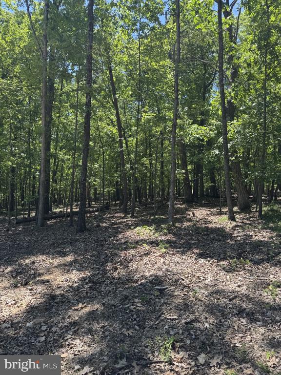 Lot 3 Ridgeview Rd