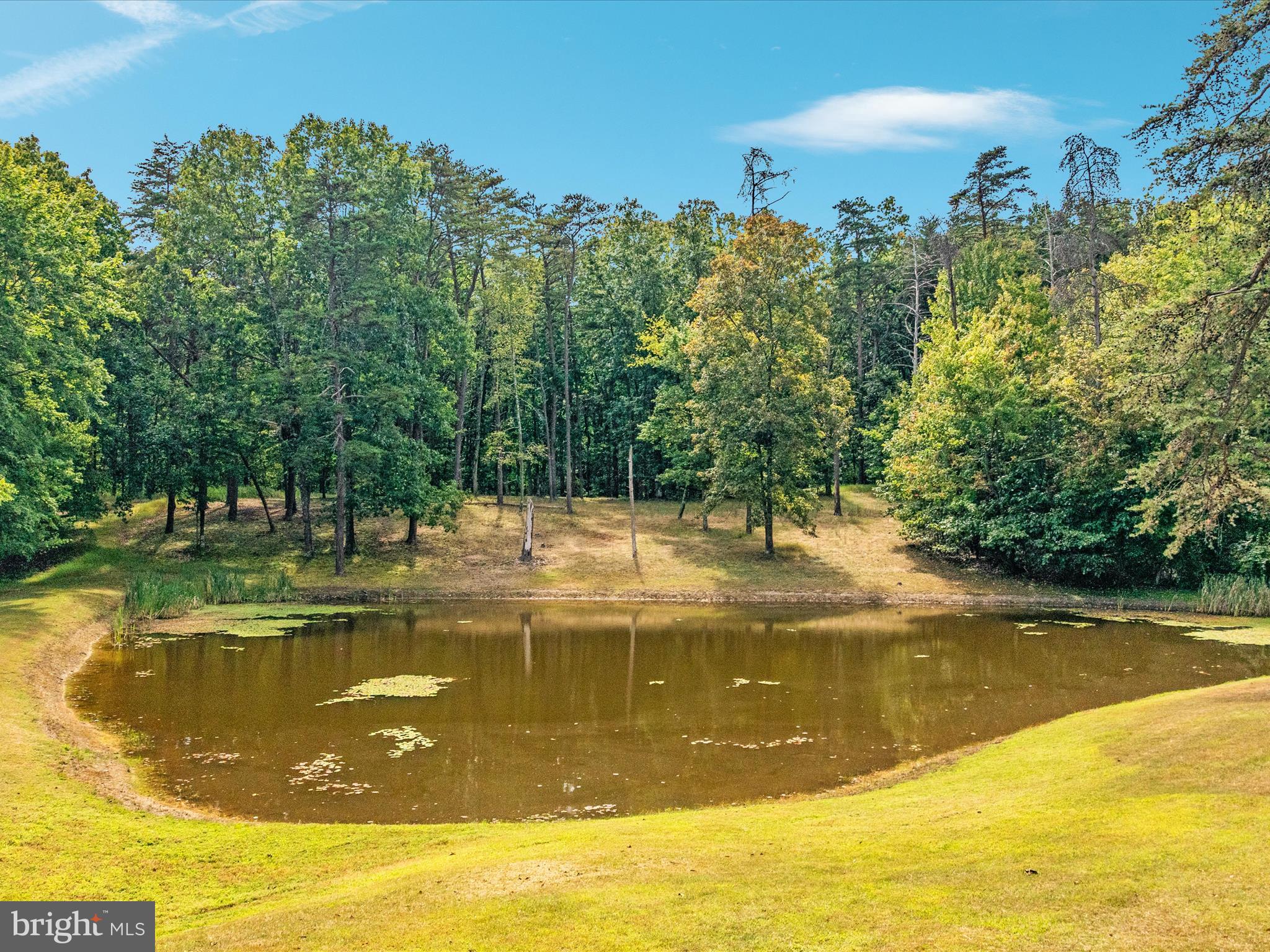 2321 CEDAR GROVE ROAD