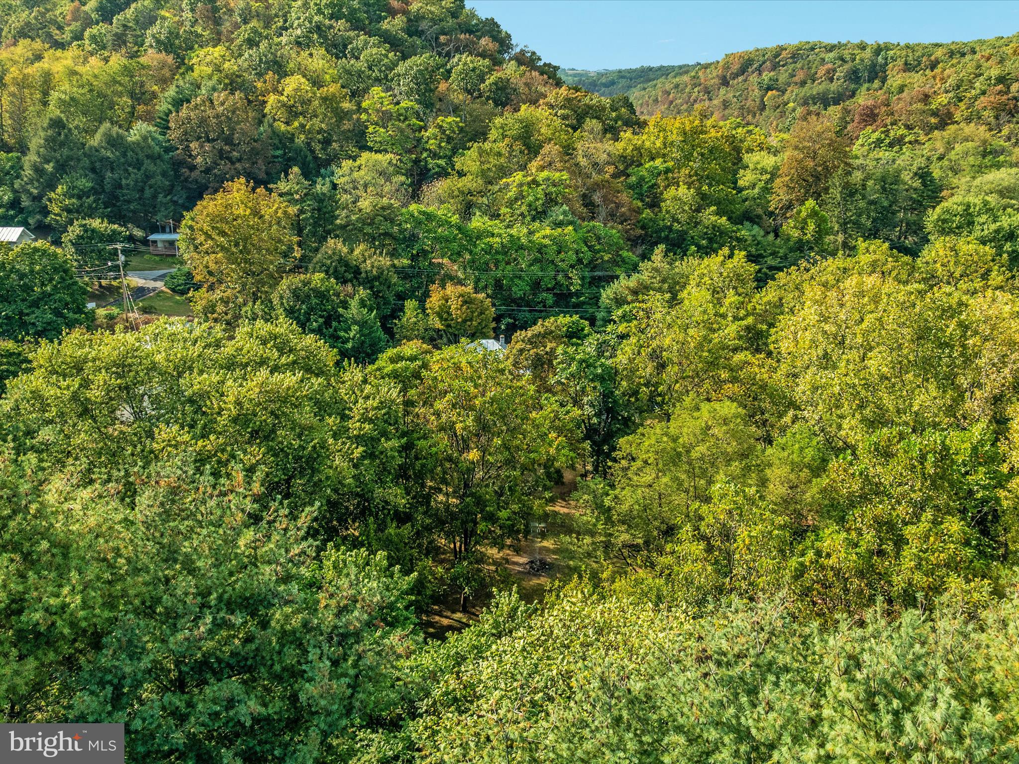 141 BACK CREEK ROAD