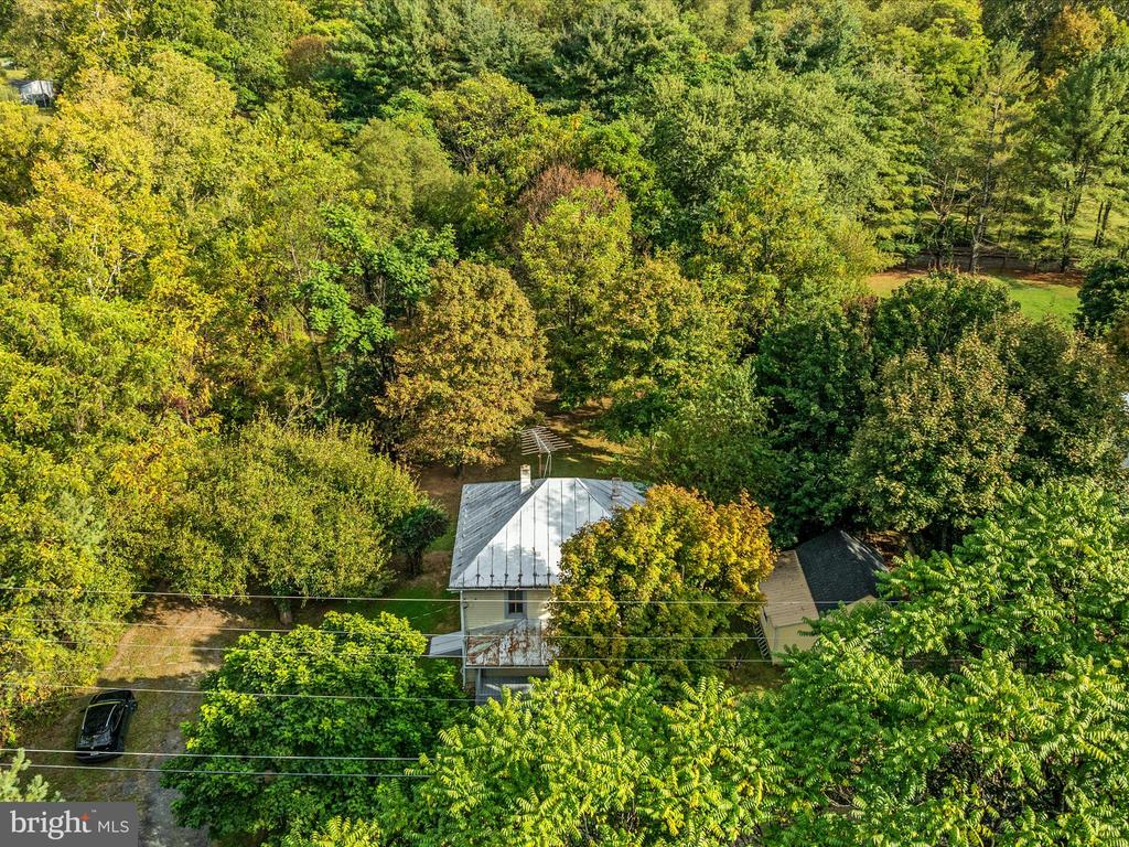 141 BACK CREEK ROAD