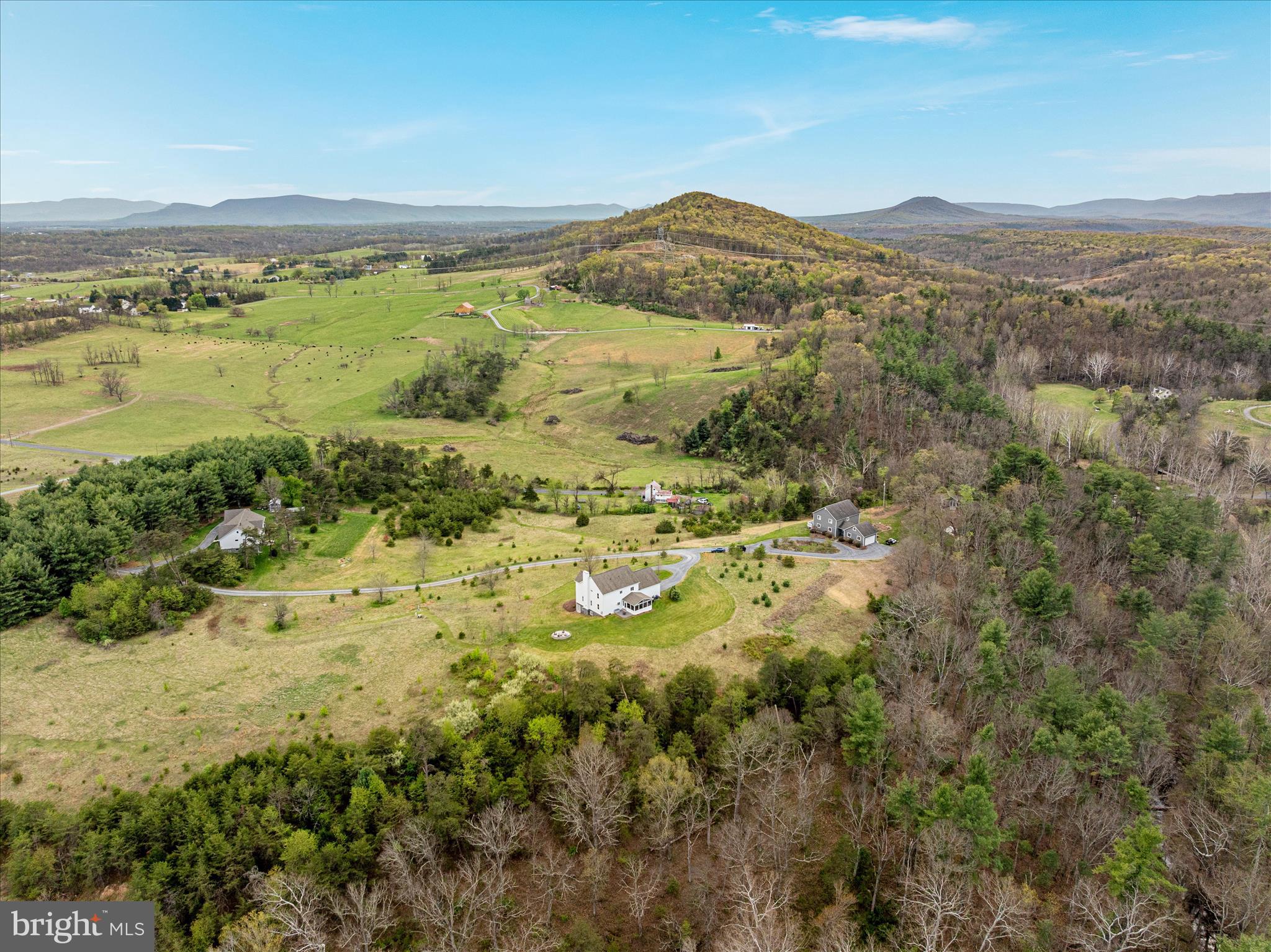 230 CONIFER LANE