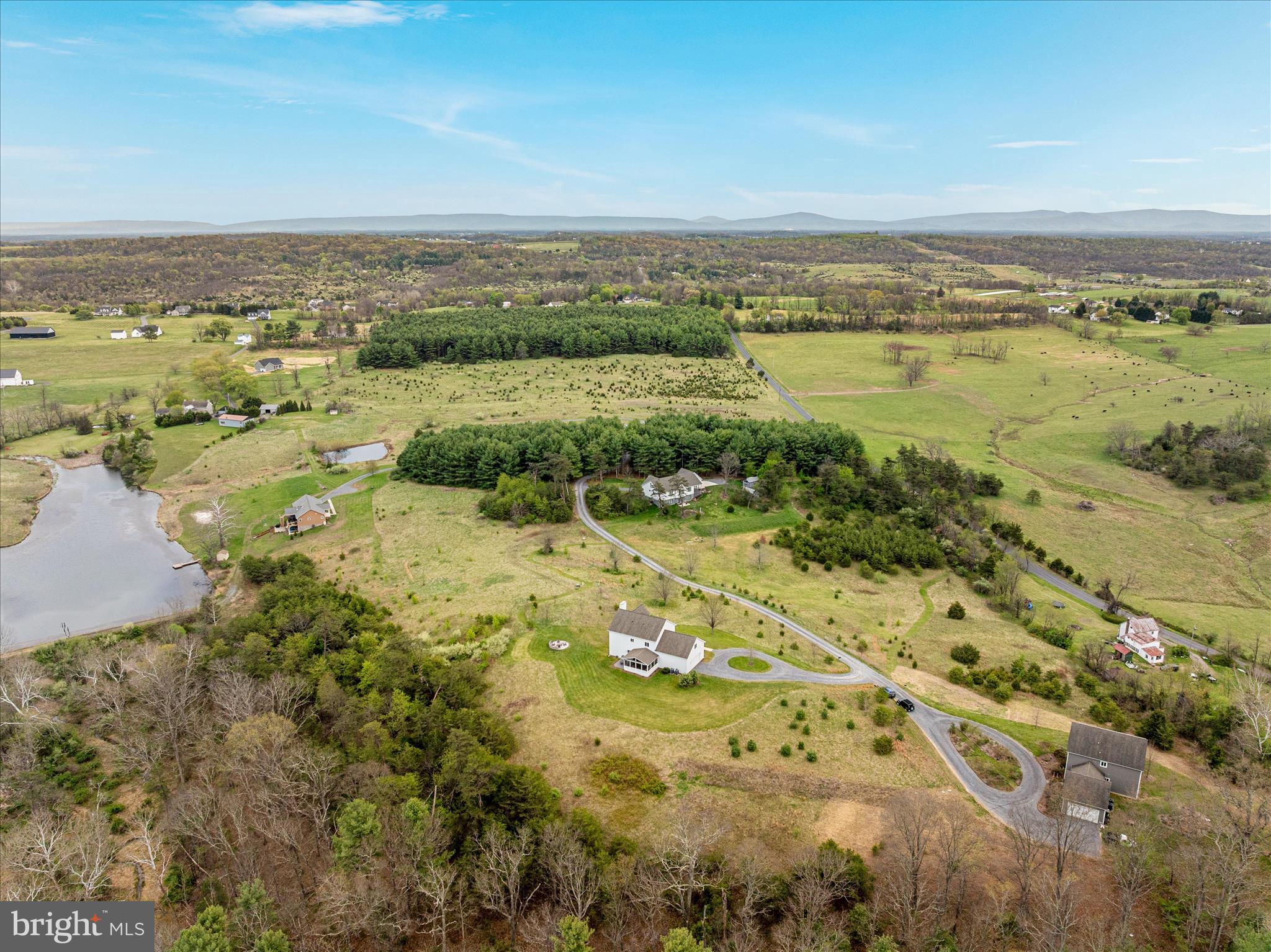 230 CONIFER LANE