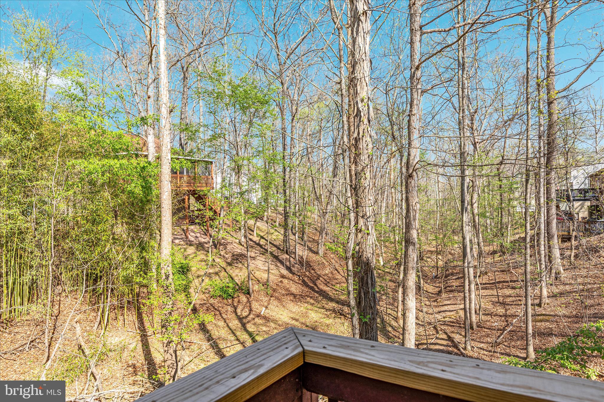 203 NORTHWOOD CIRCLE