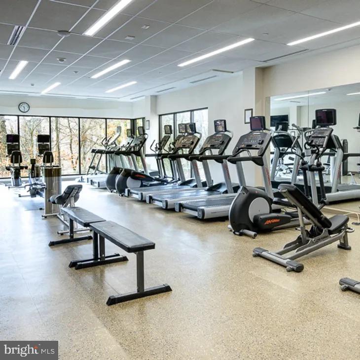 5904 Mount Eagle Dr #1514