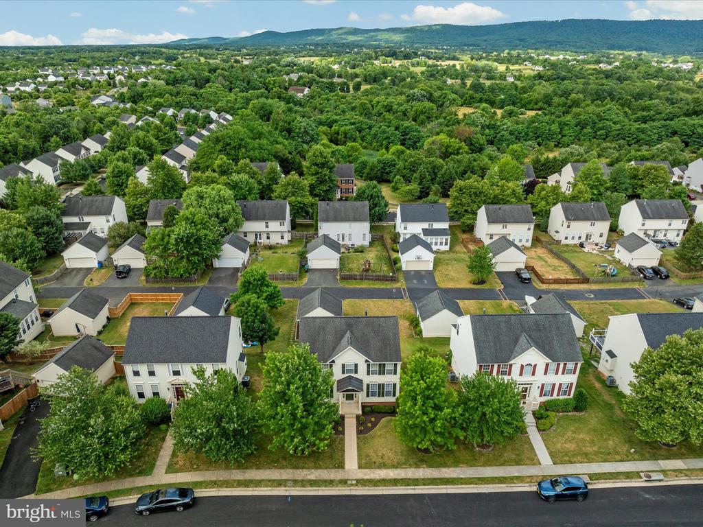 5 Tilgham Pl