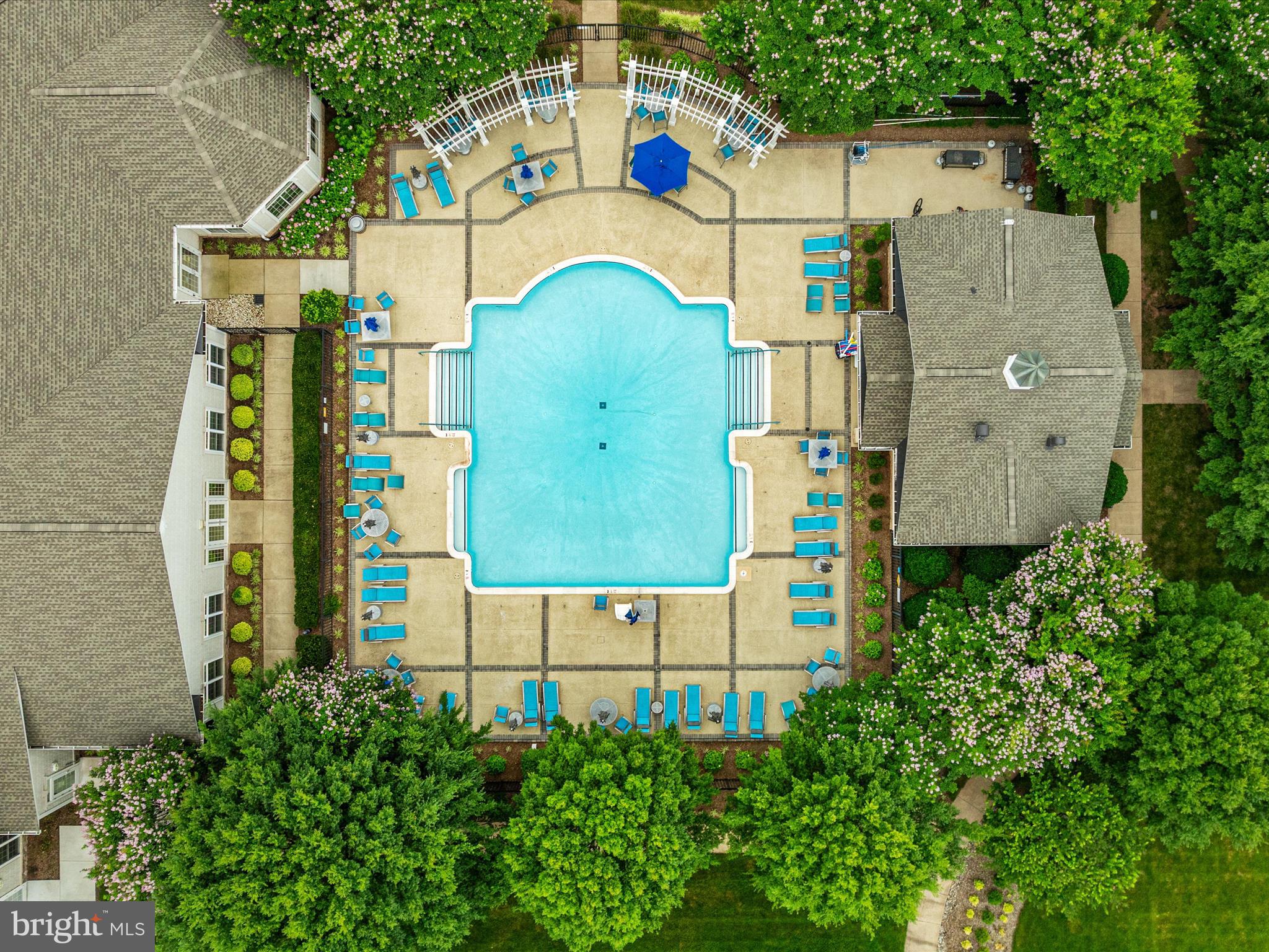 20610 Hope Spring Ter #205