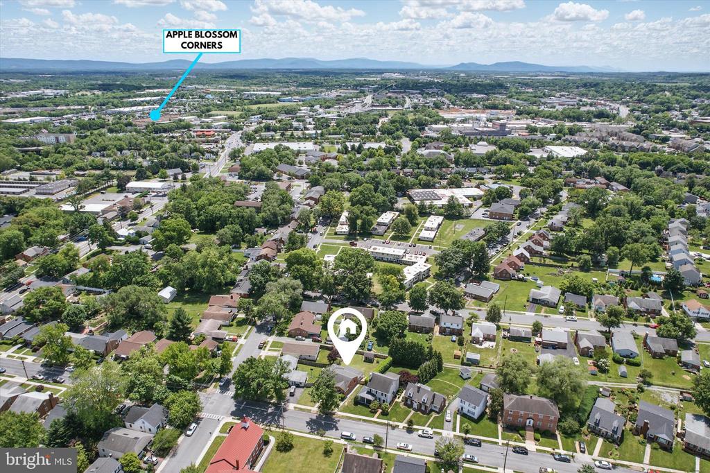 111 Montague Ave