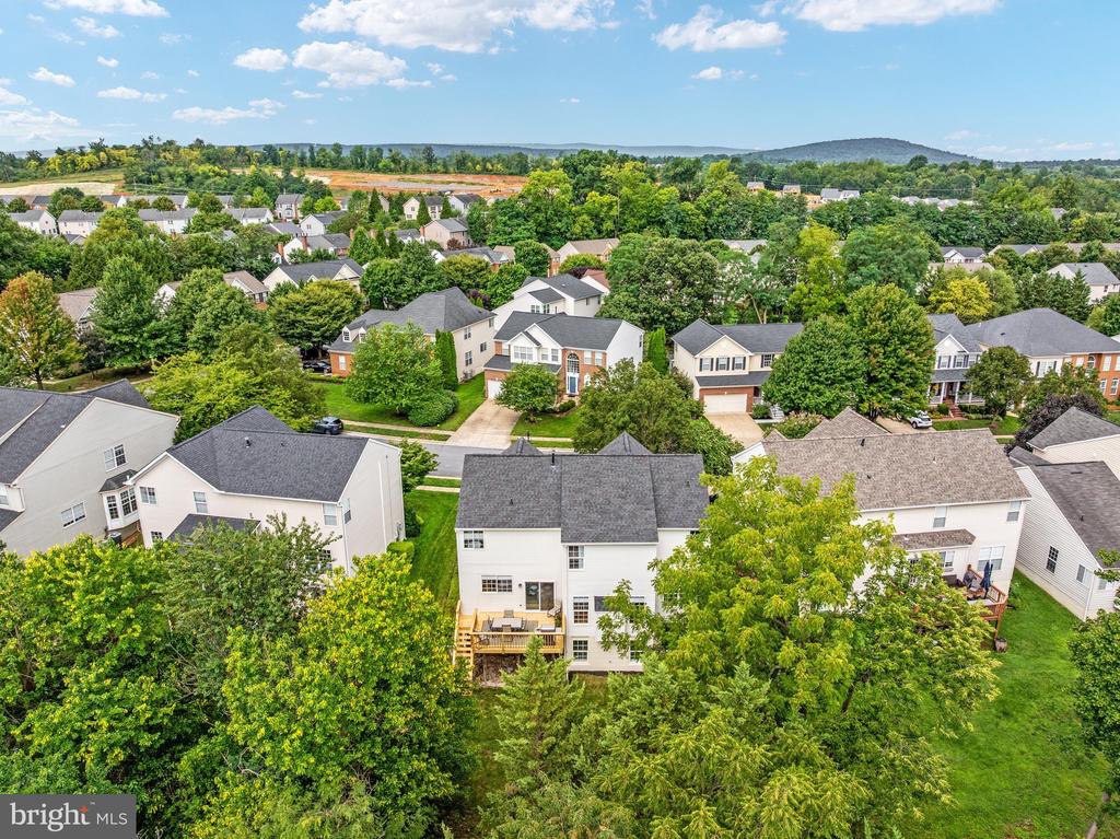 922 WAYNE DRIVE