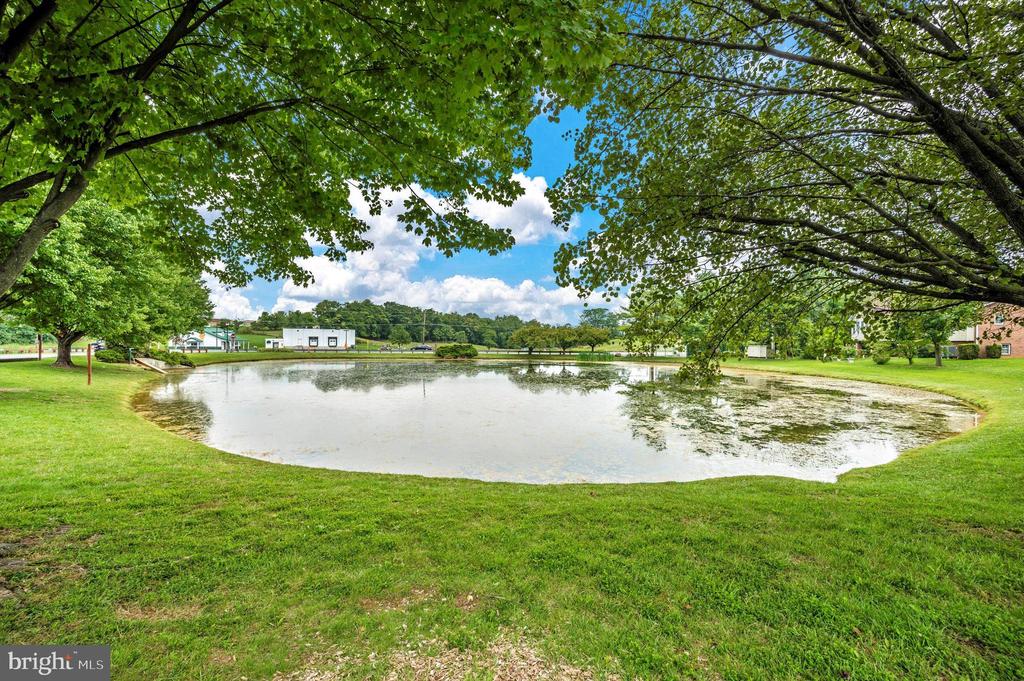 81 Larkspur Ln