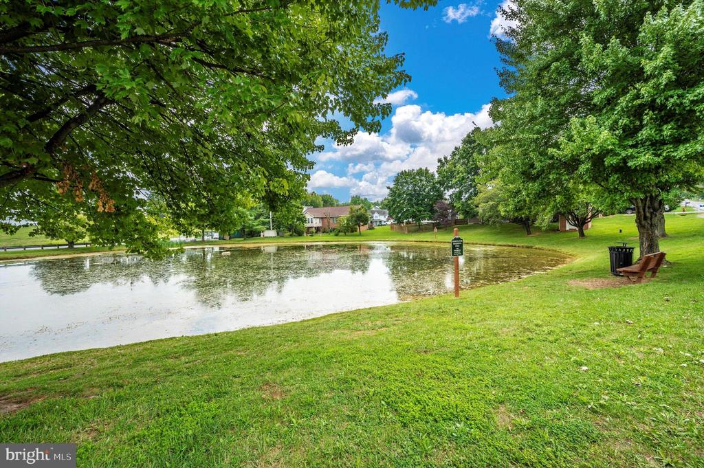 81 Larkspur Ln