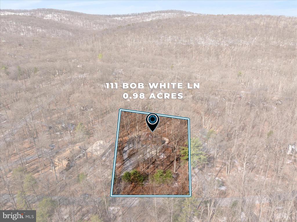 111 BOB WHITE LANE