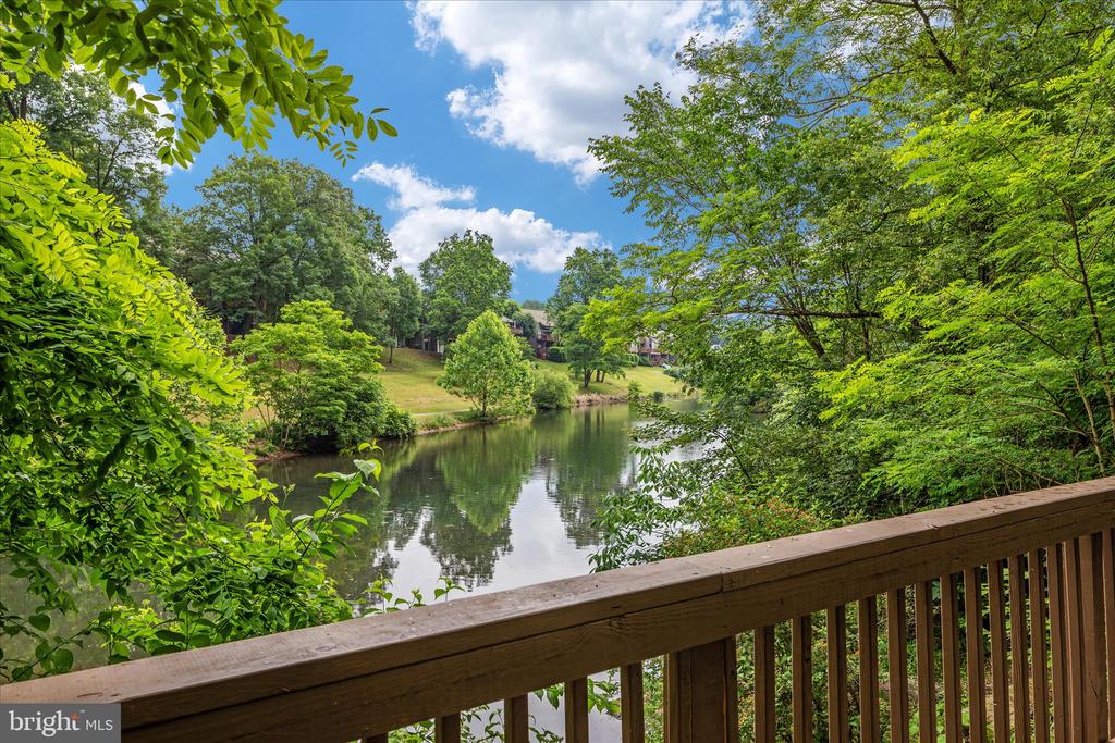 111 BOB WHITE LANE
