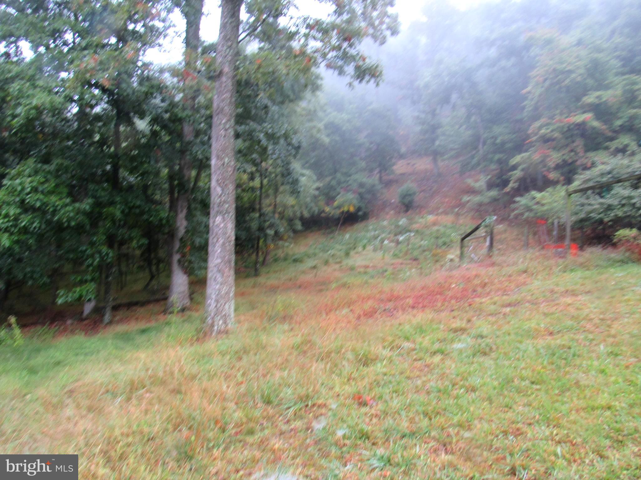 979 Lost River Ridge Cir