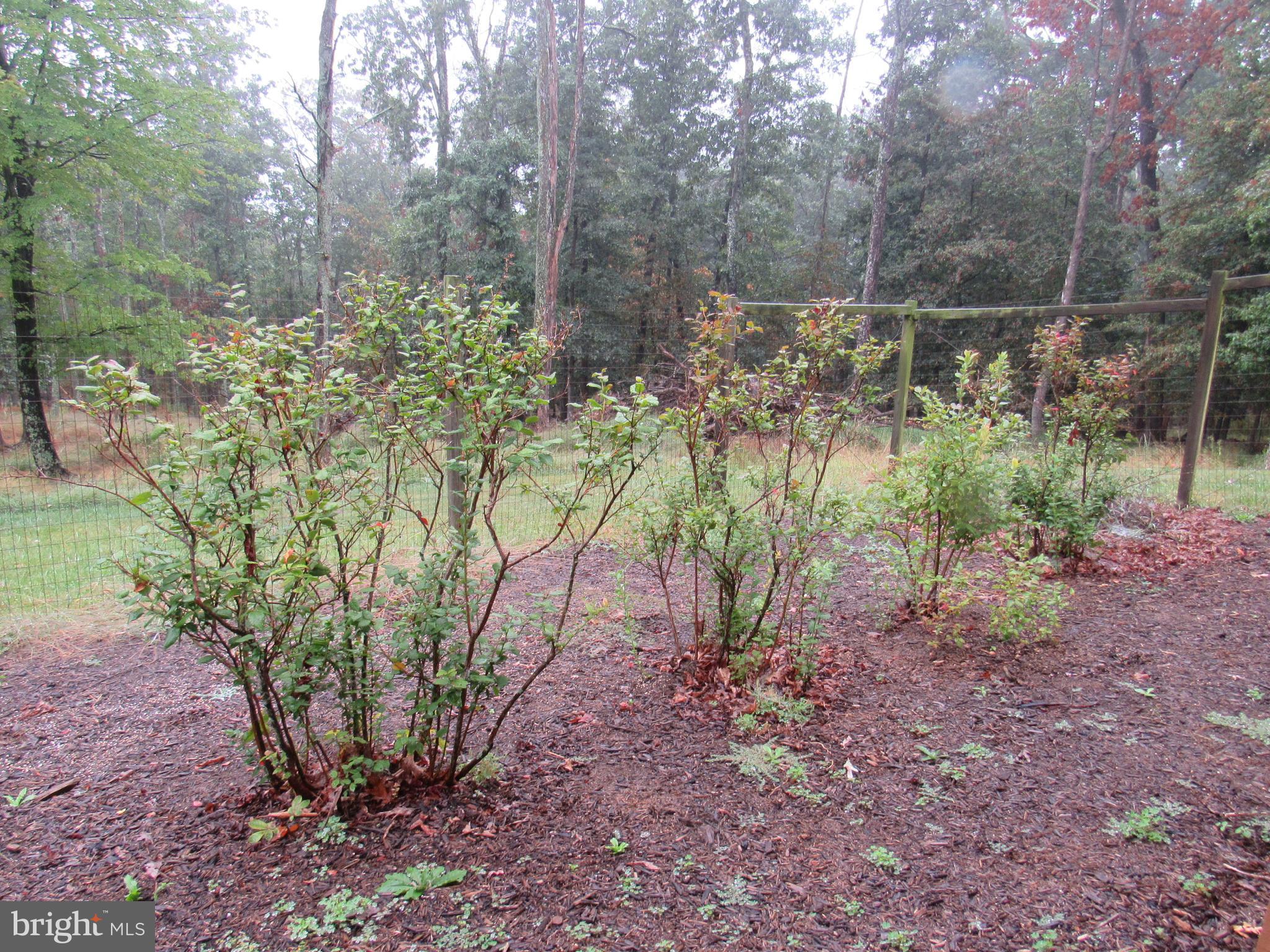 979 Lost River Ridge Cir