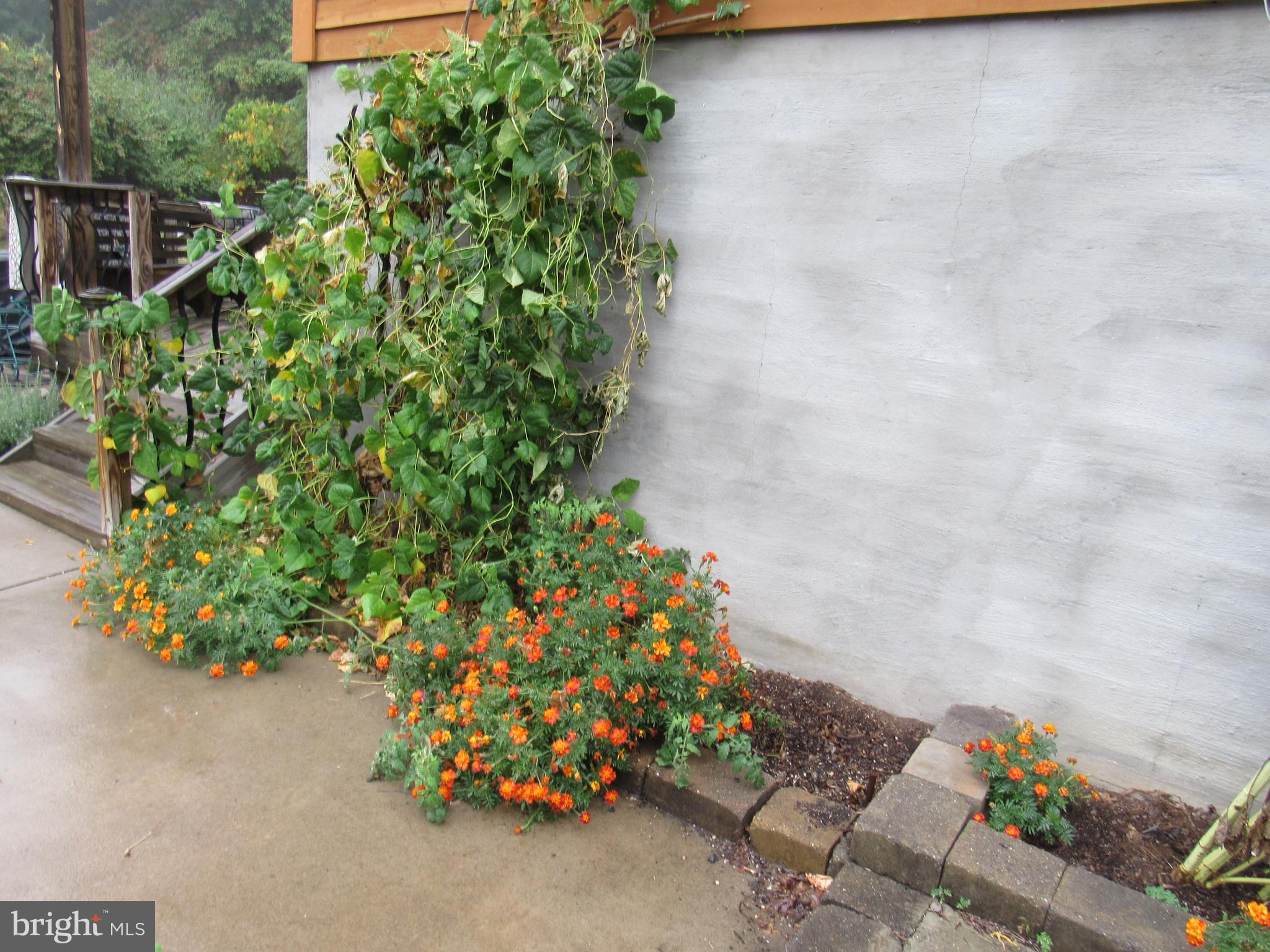 979 Lost River Ridge Cir