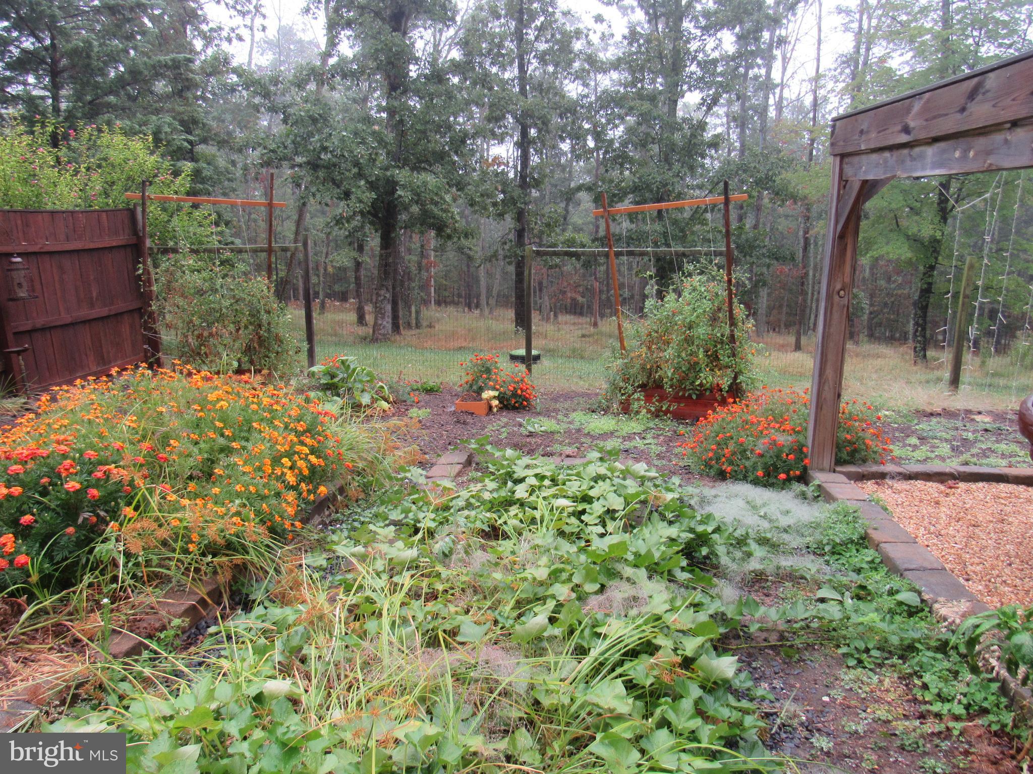 979 Lost River Ridge Cir