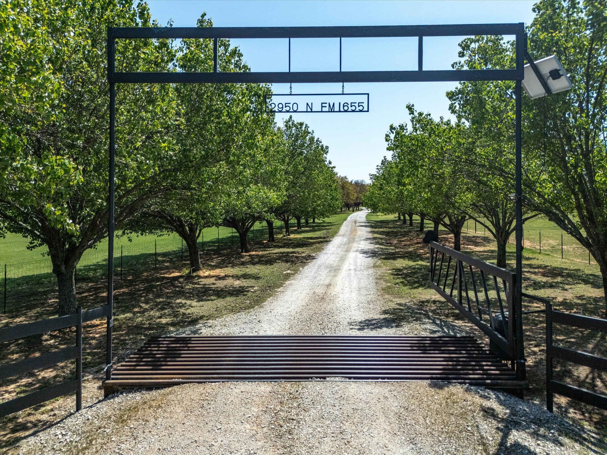 2950 N Fm 1655