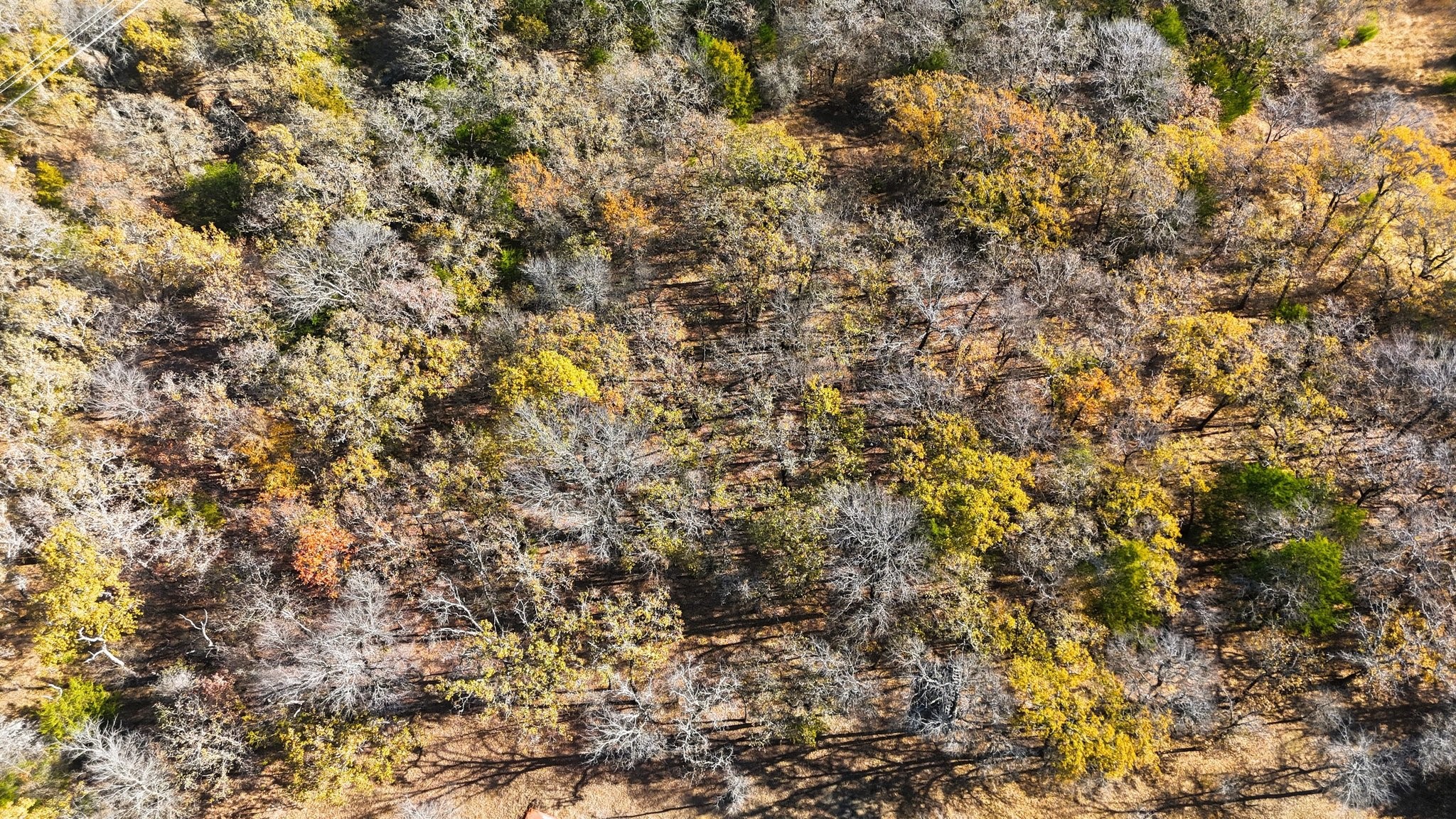 277 County Road 1170