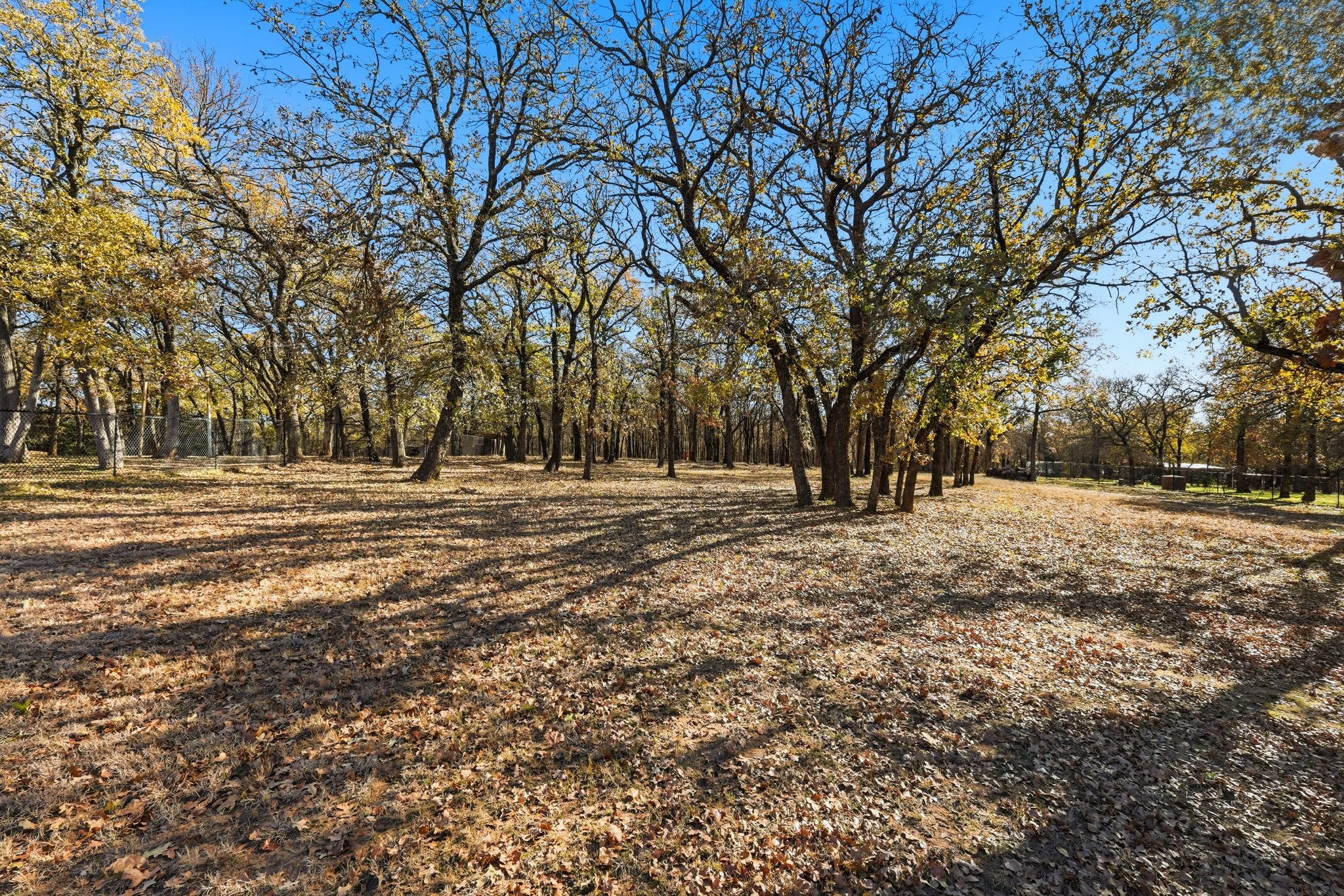 277 County Road 1170