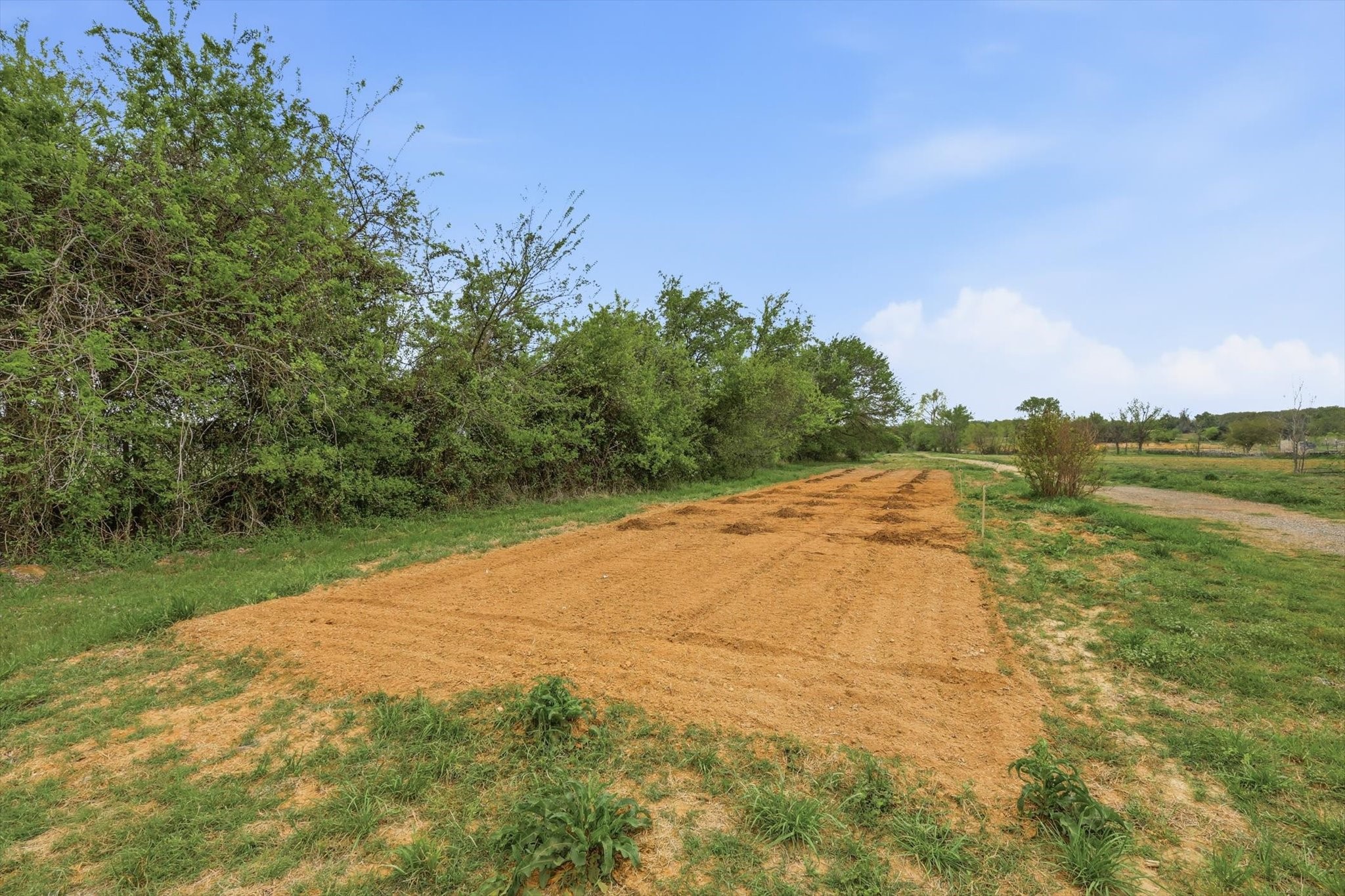1445 County Road 3690