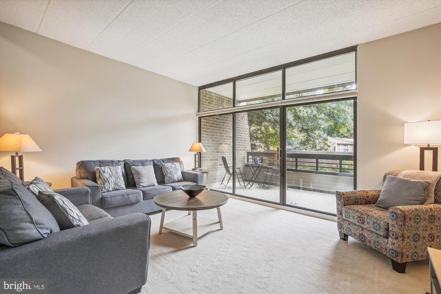 11620 IVYSTONE COURT Unit: 201