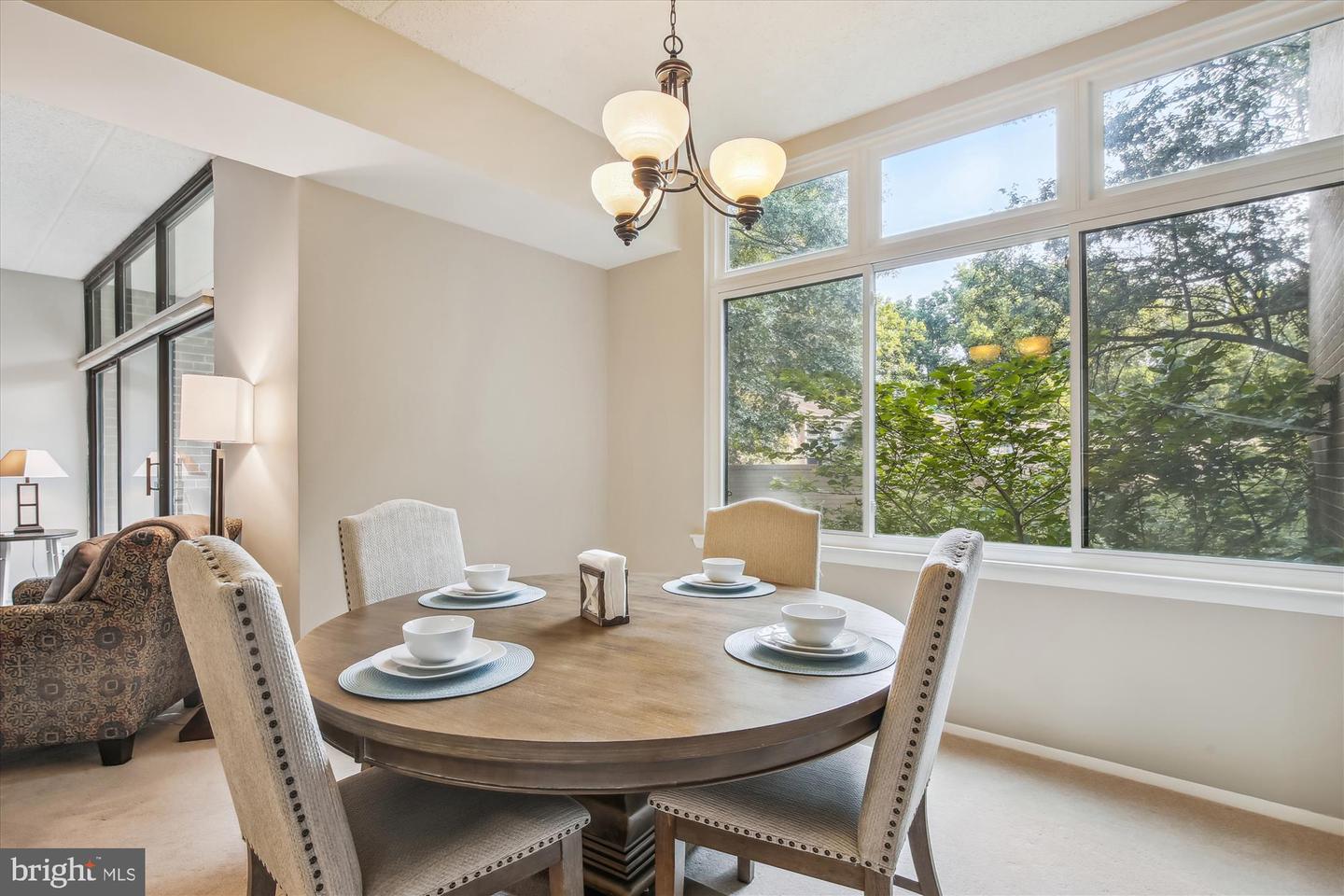 11620 IVYSTONE COURT Unit: 201