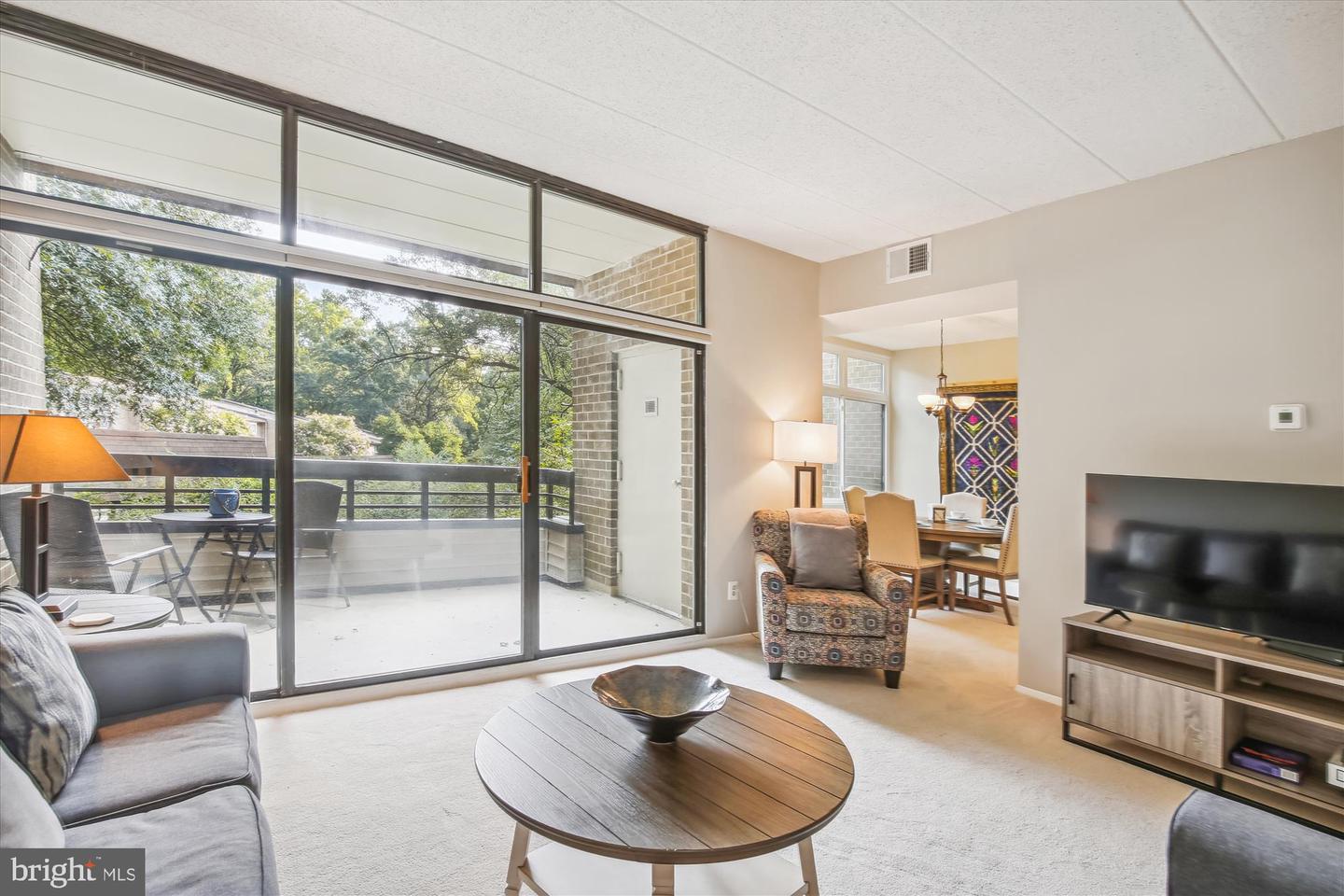 11620 IVYSTONE COURT Unit: 201