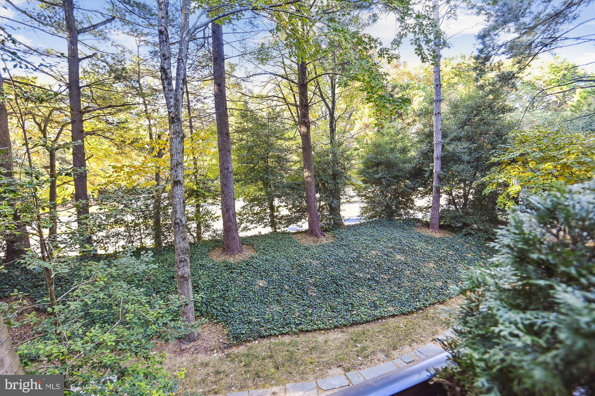 11613 Windbluff COURT Unit: 9B1