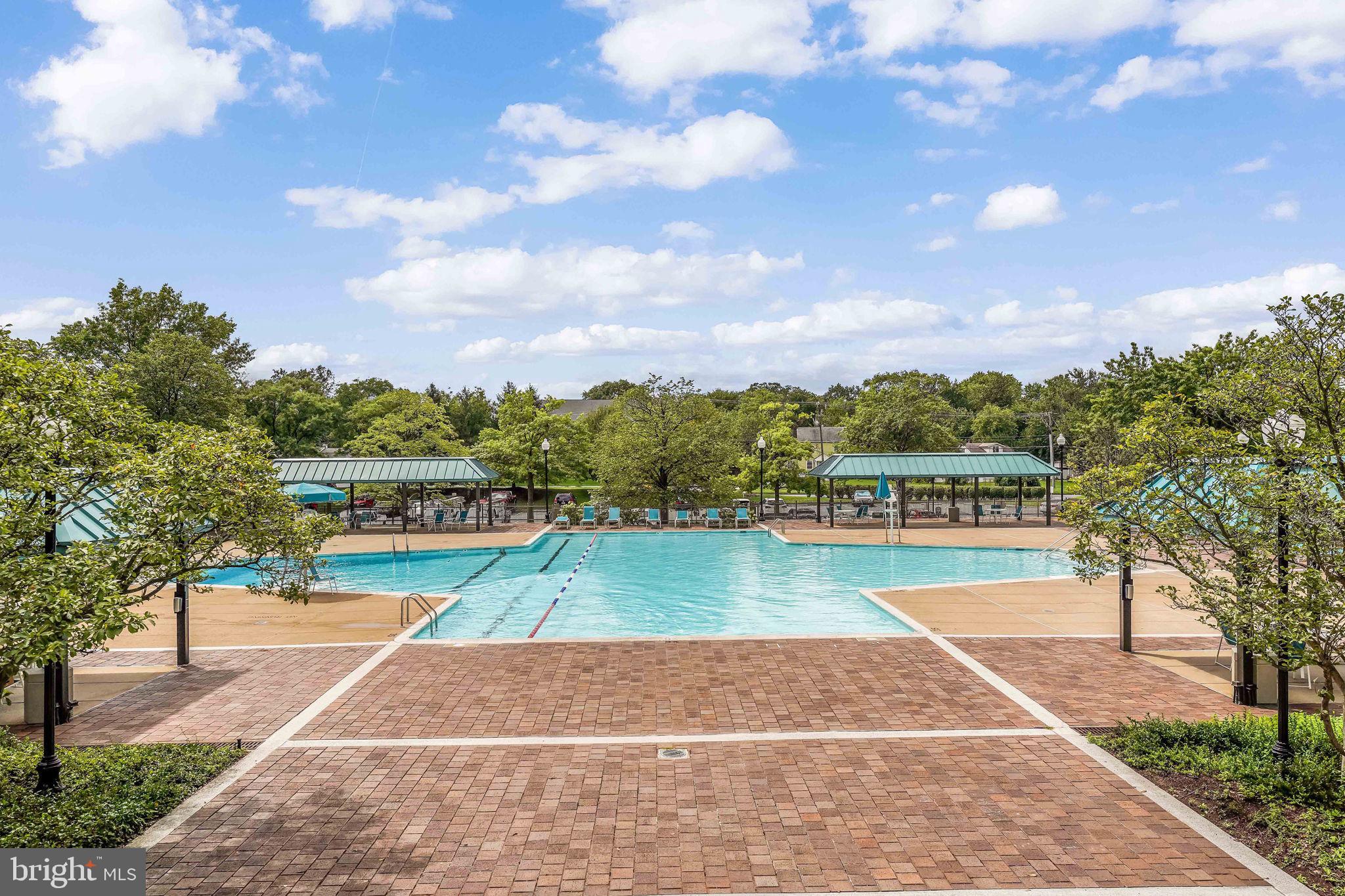 3701 S George Mason Dr #2605n