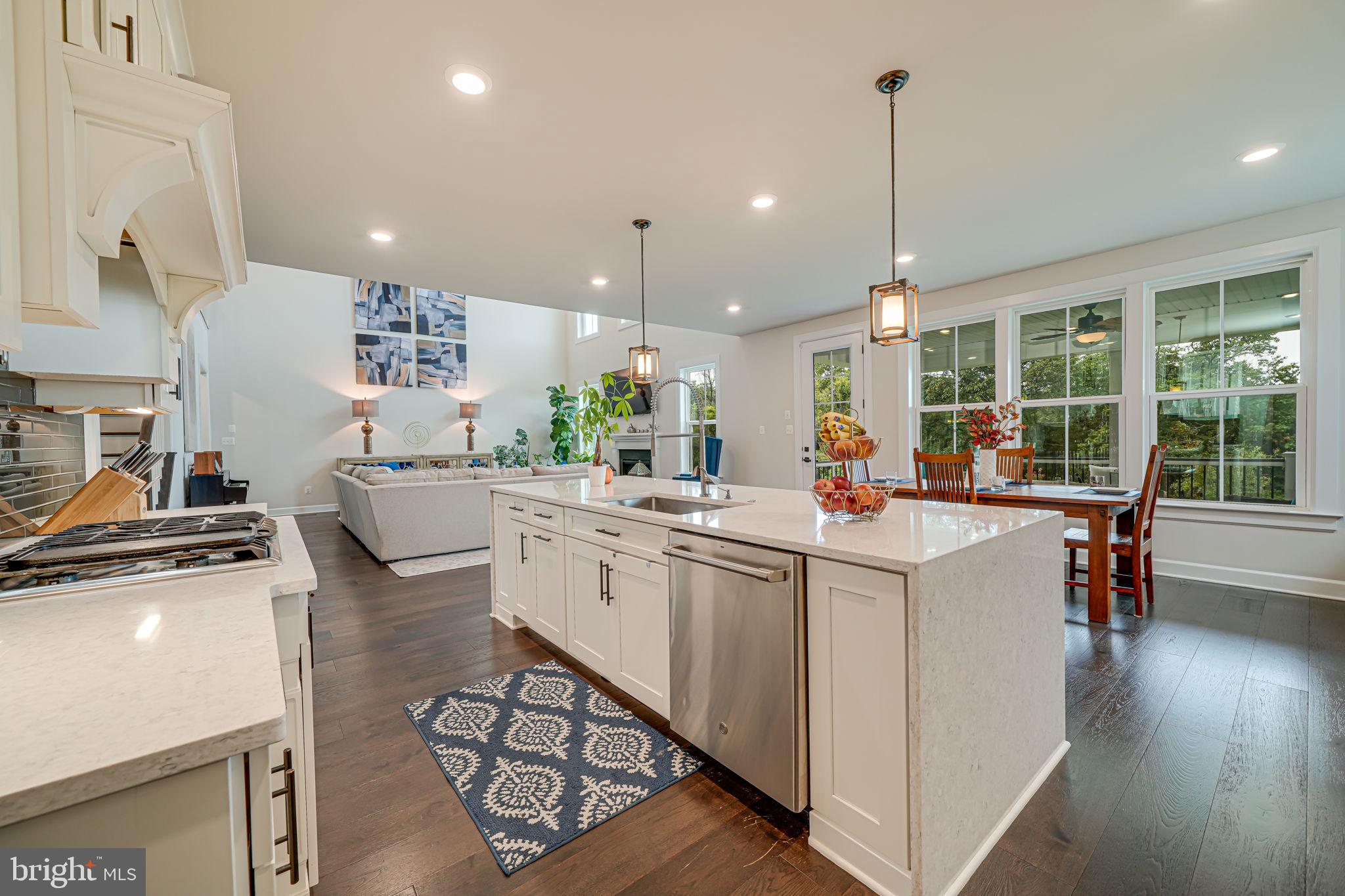 23241 White Sycamore Pl