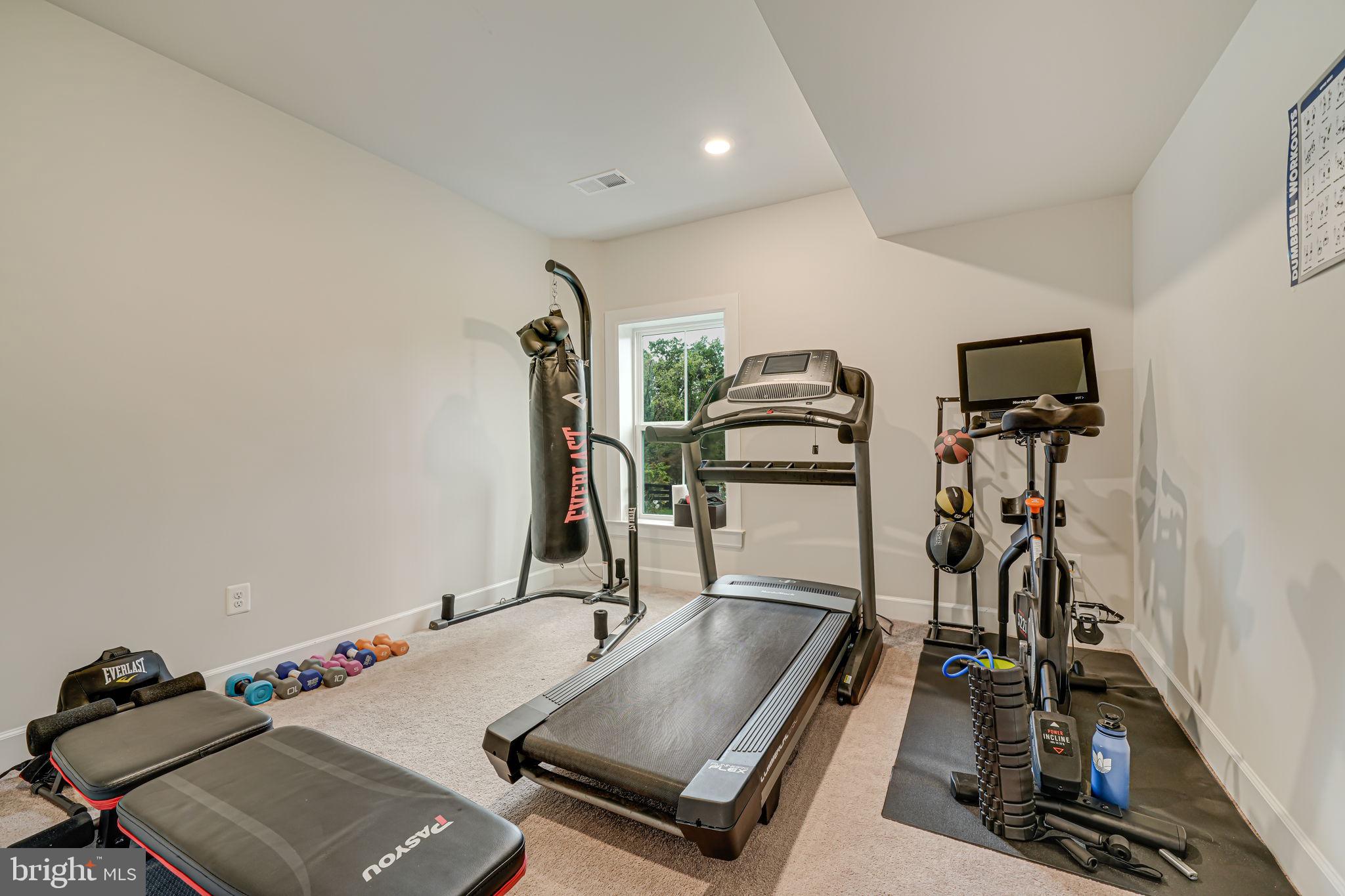 23241 White Sycamore Pl