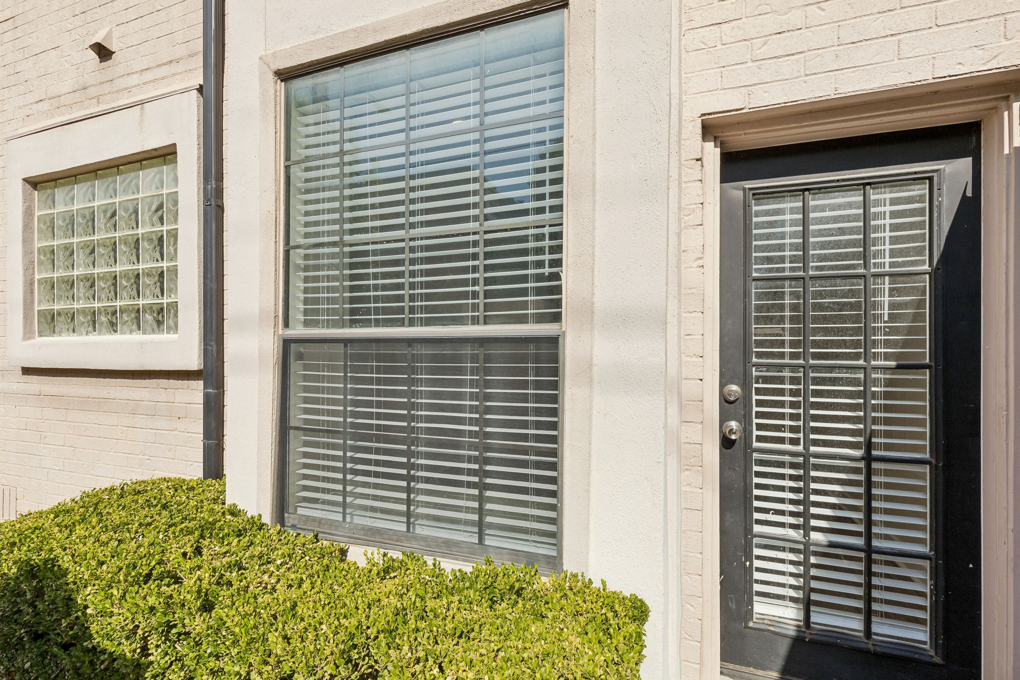 3901 Travis Street 100