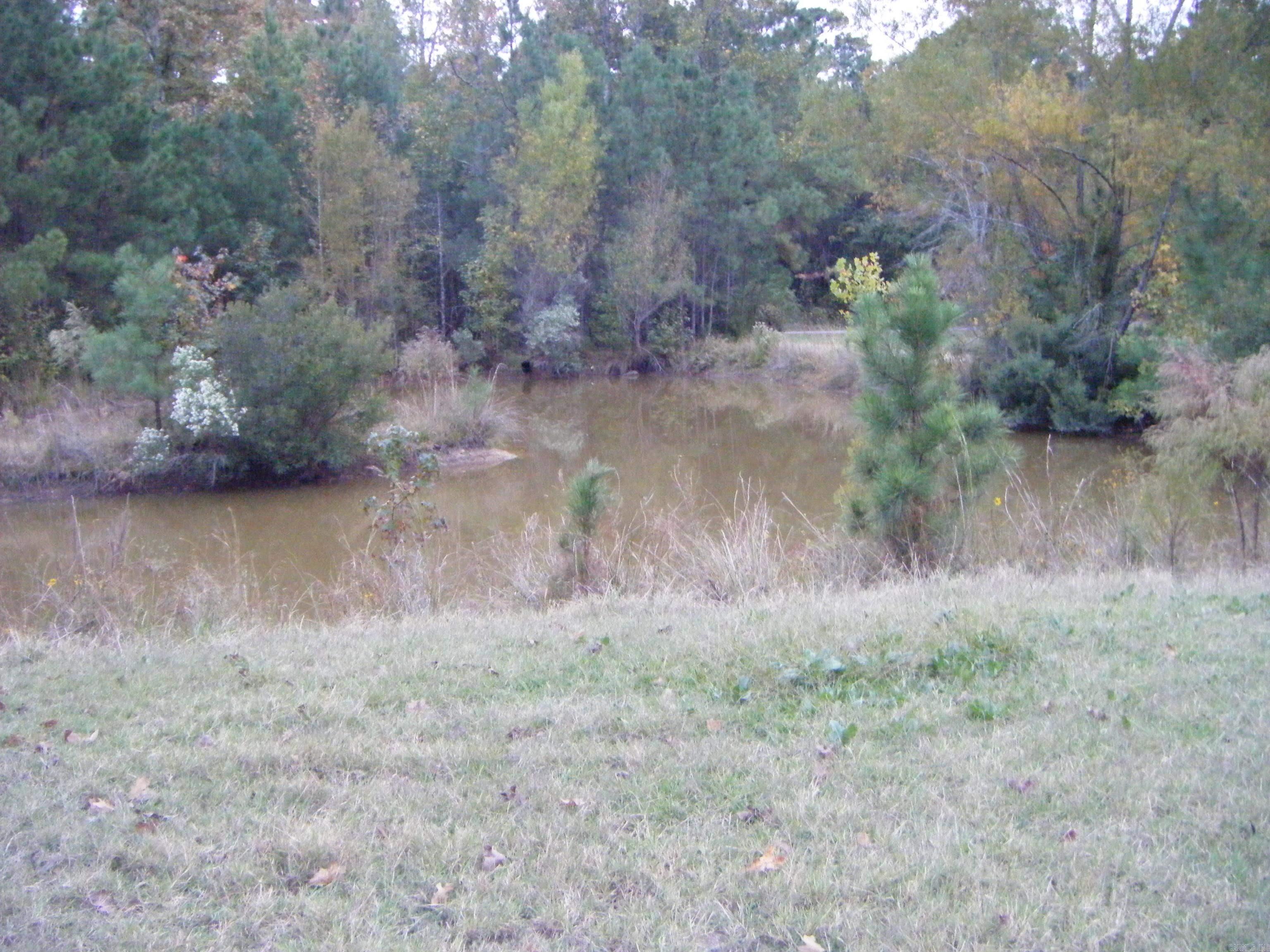 50 Davids Lane