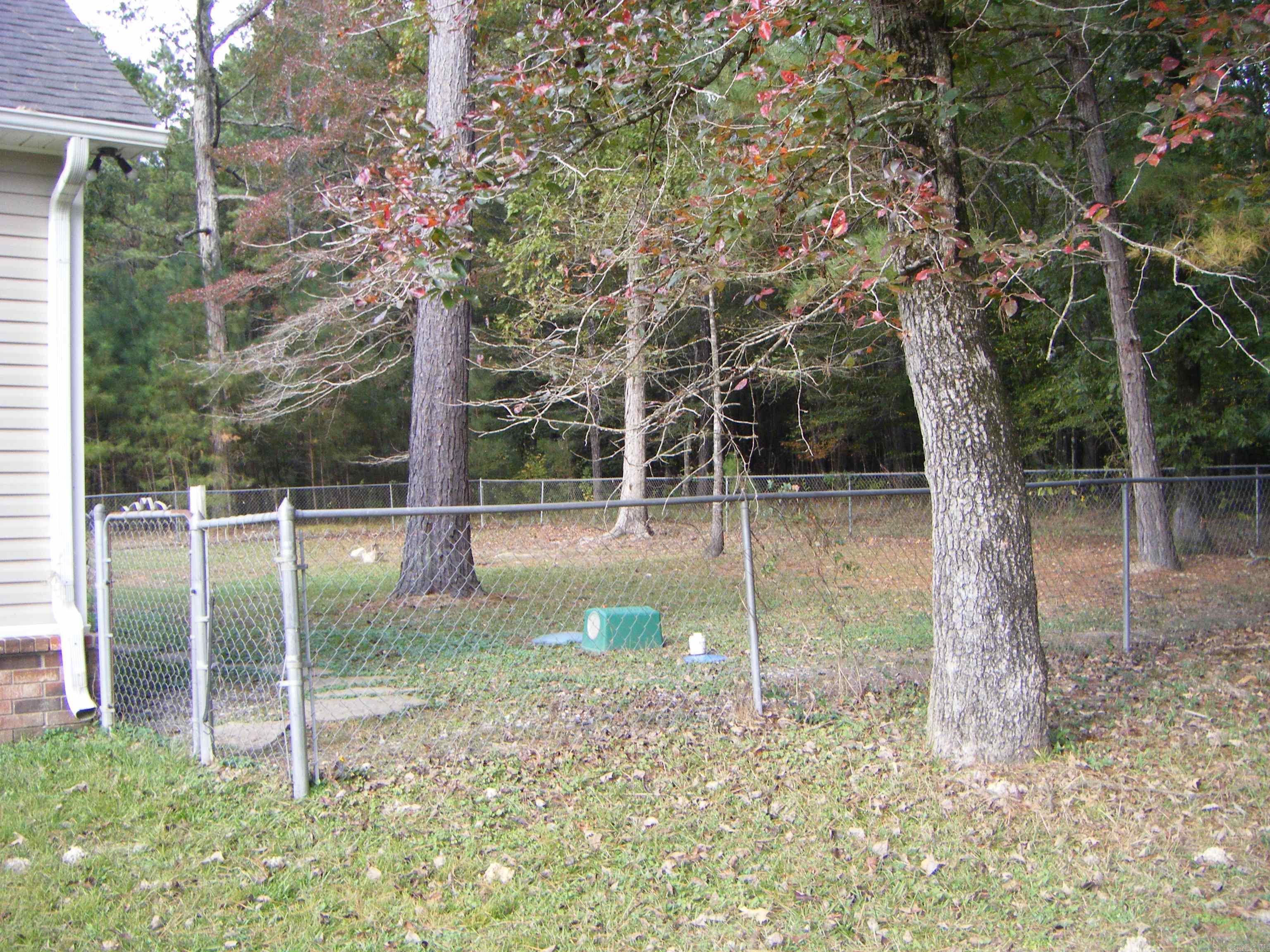 50 Davids Lane