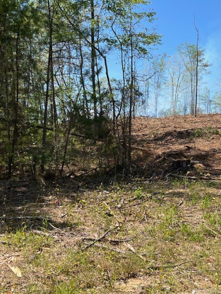 TBD Hwy 84 Unit: Tract E