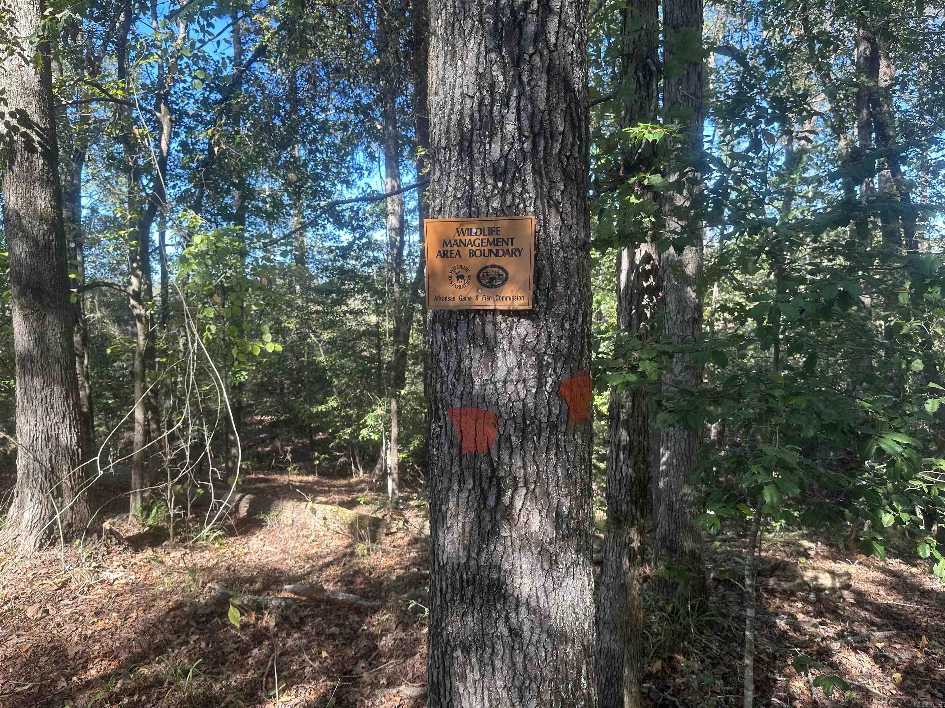XXX Nevada 290