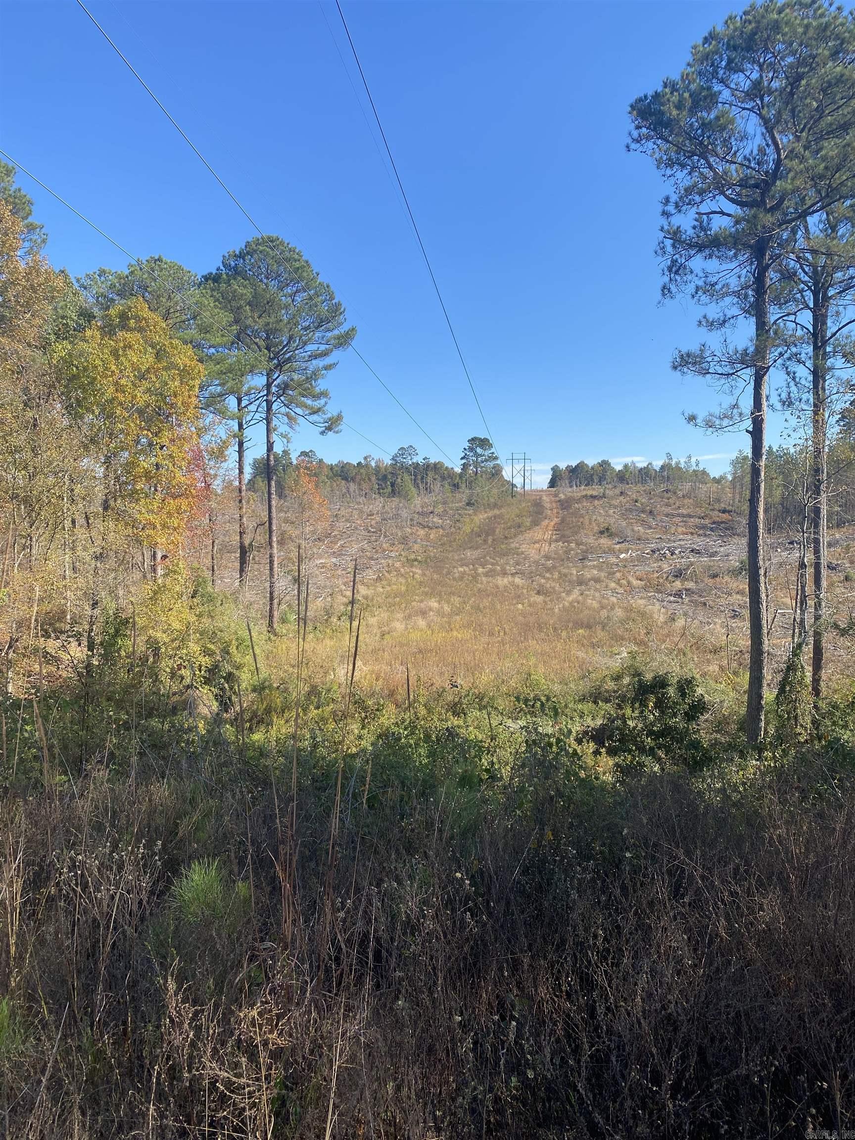 Battlefield Rd Loop