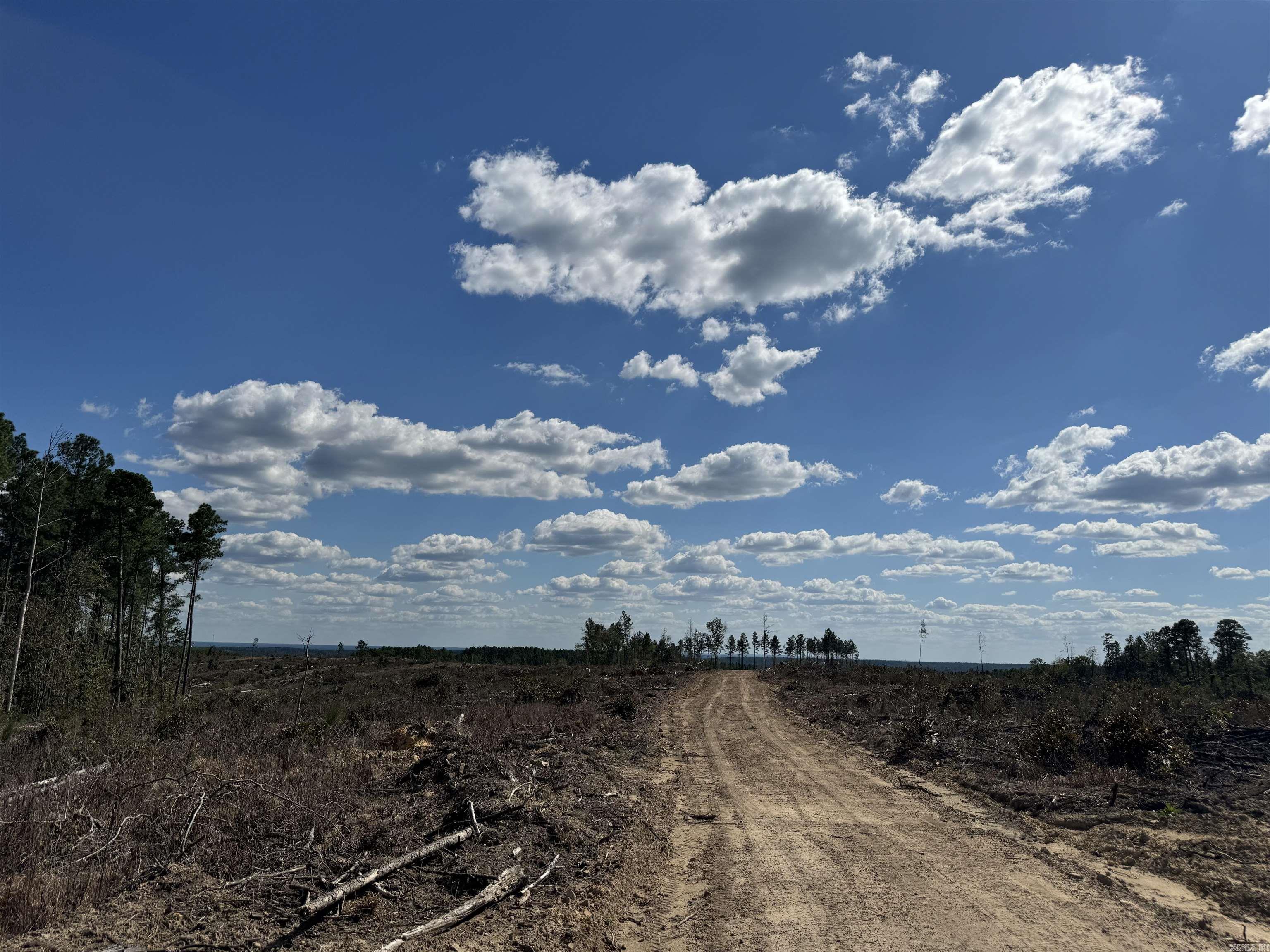 Lucky Pine Road