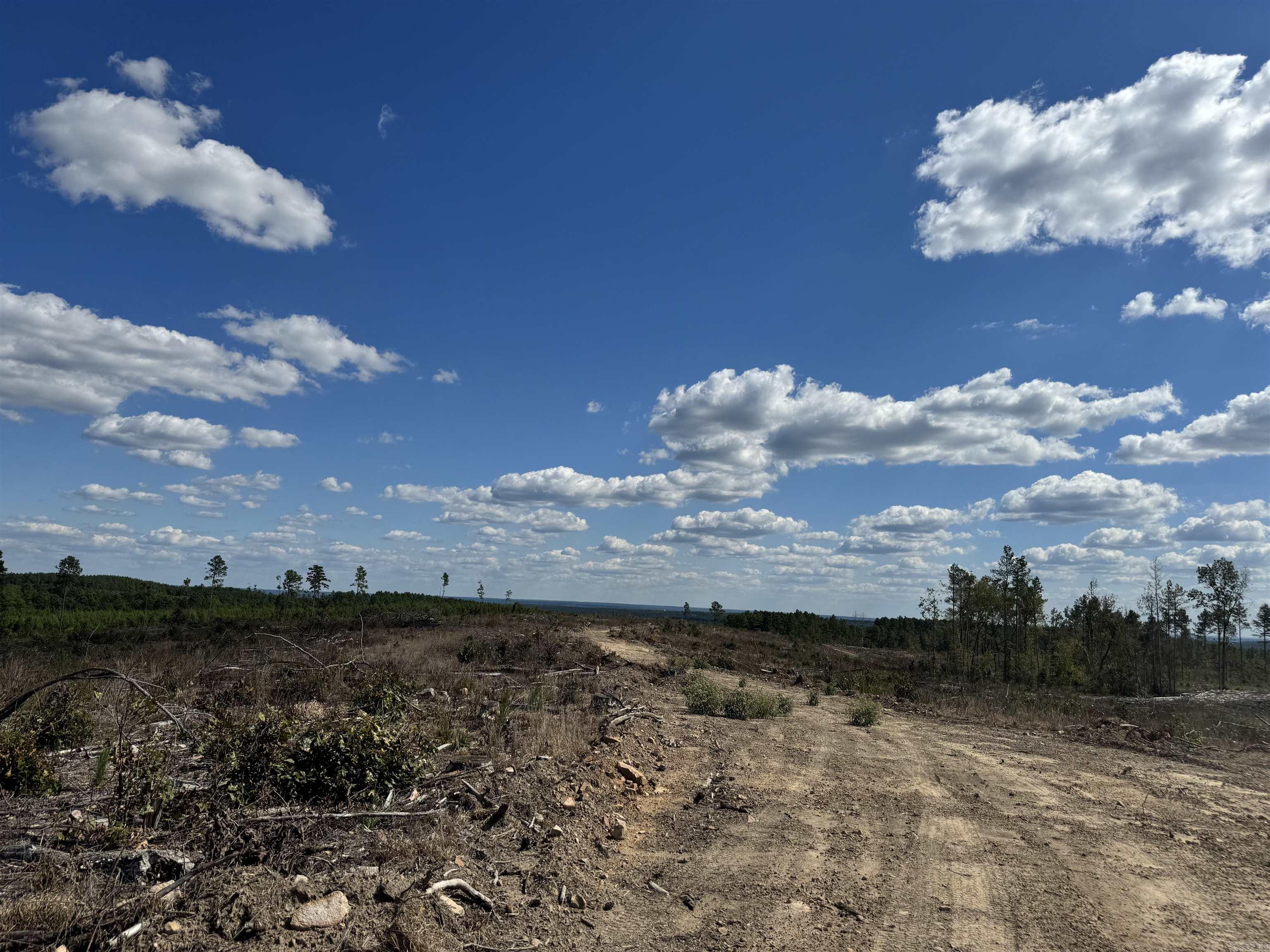 Lucky Pine Road