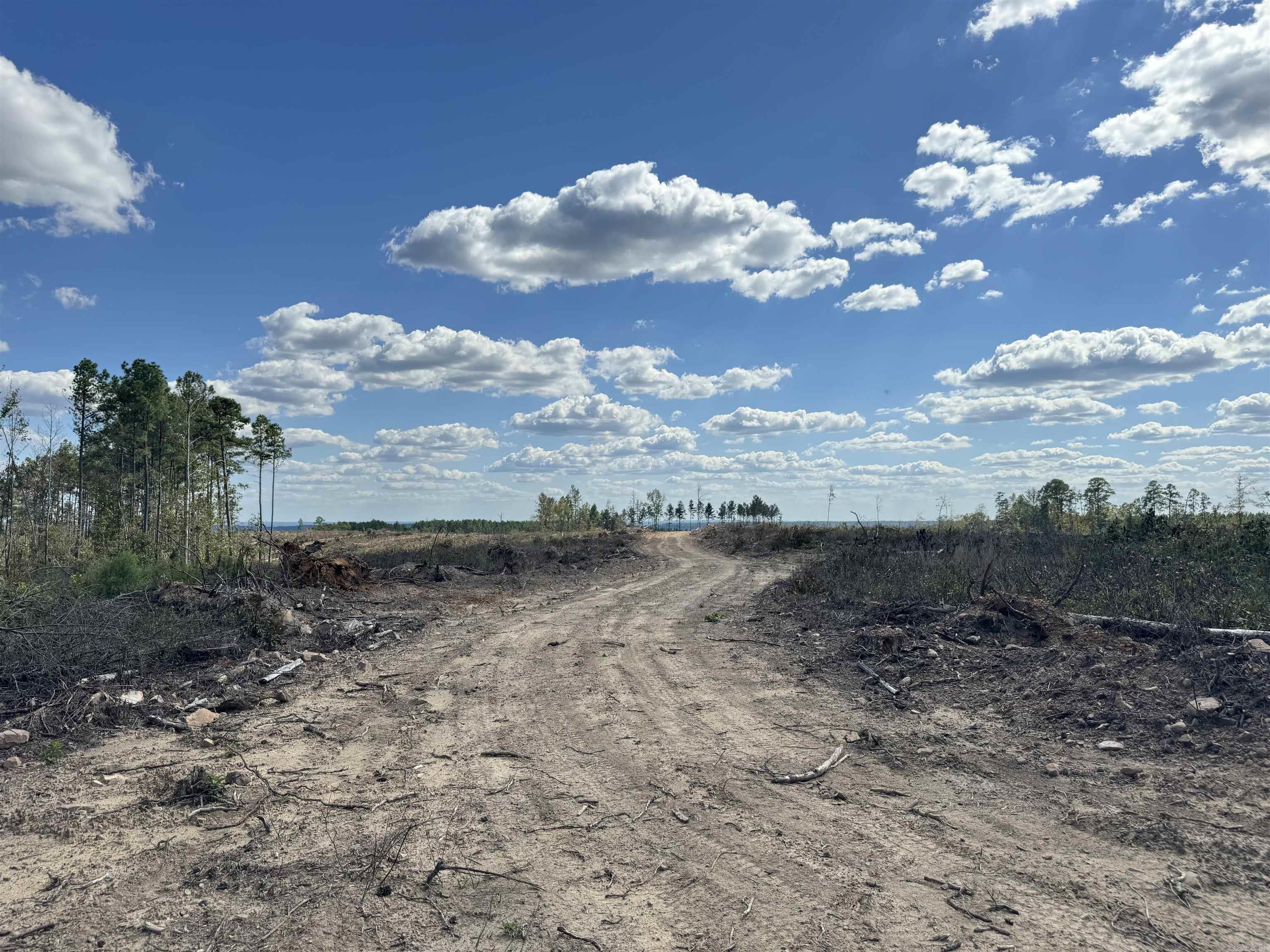 Lucky Pine Road