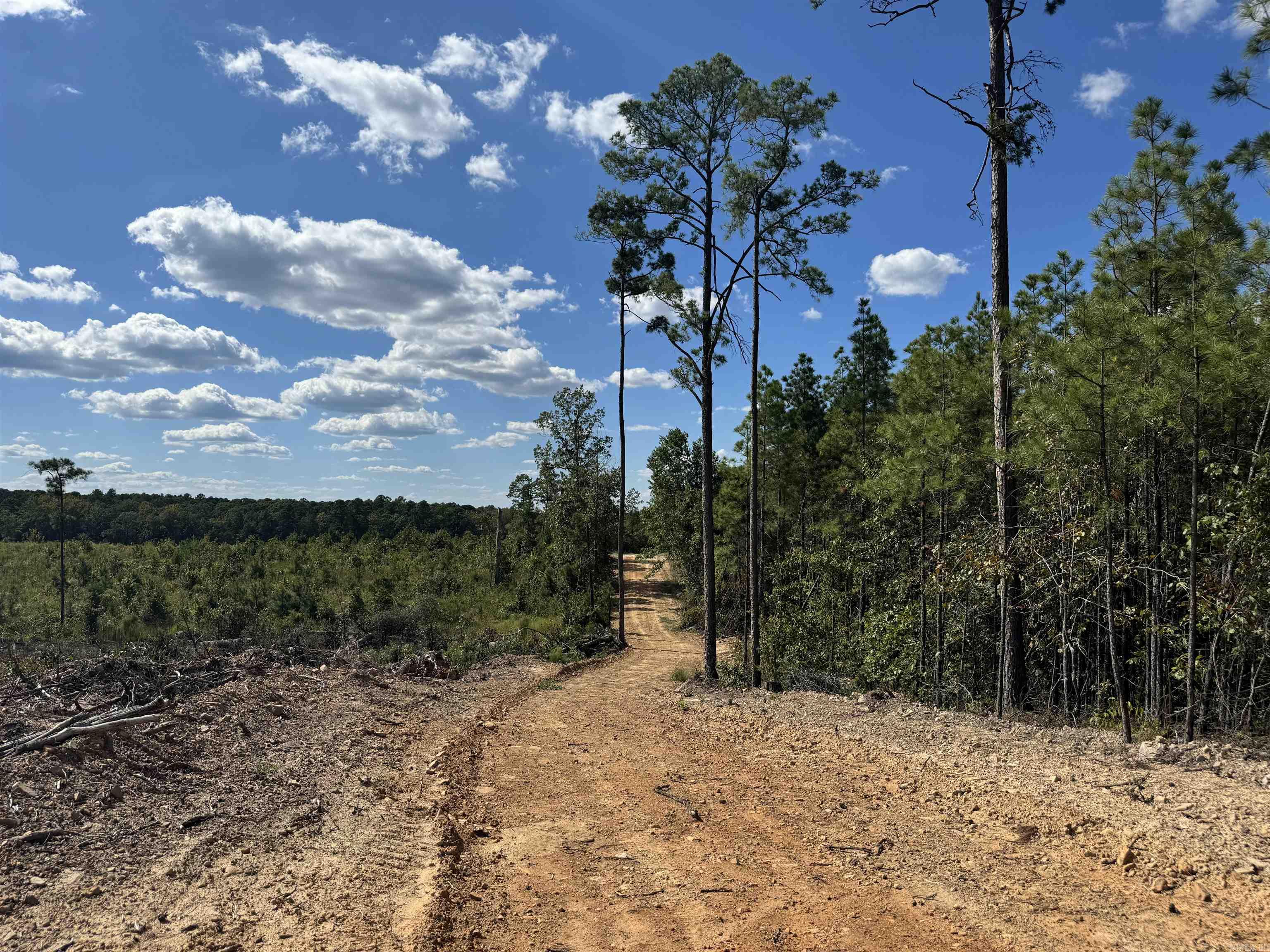 Lucky Pine Road