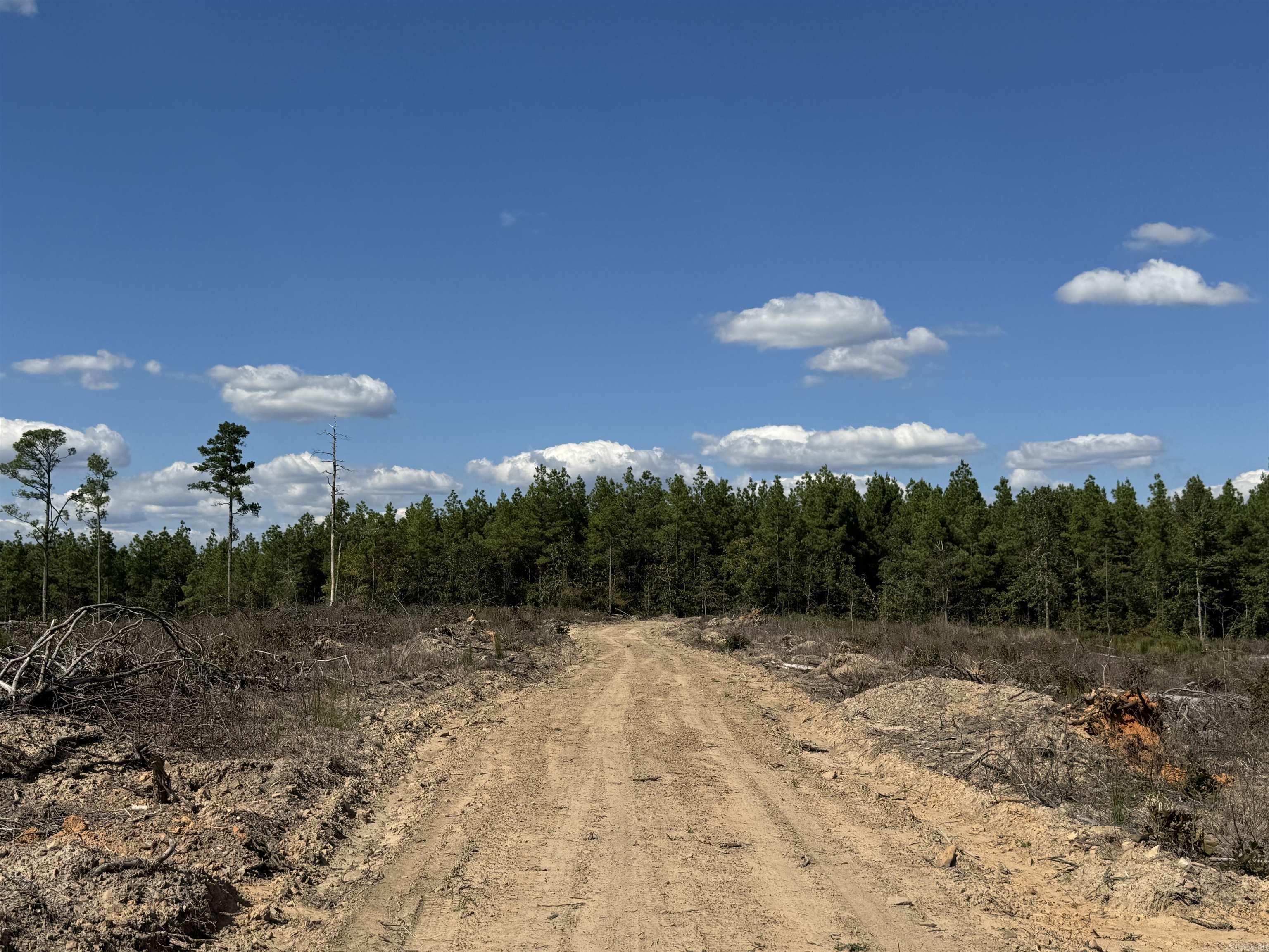 Lucky Pine Road