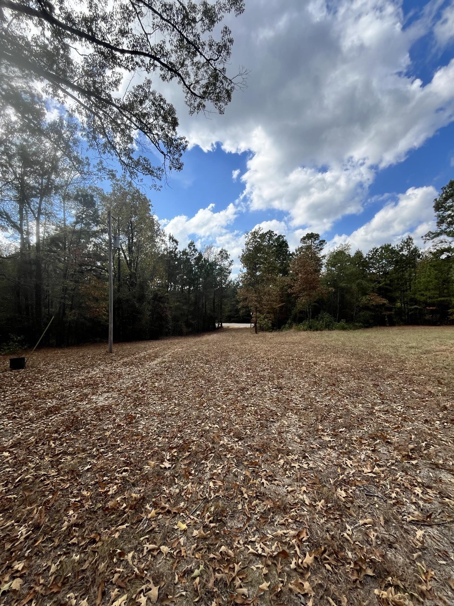 13292 Highway 51 S