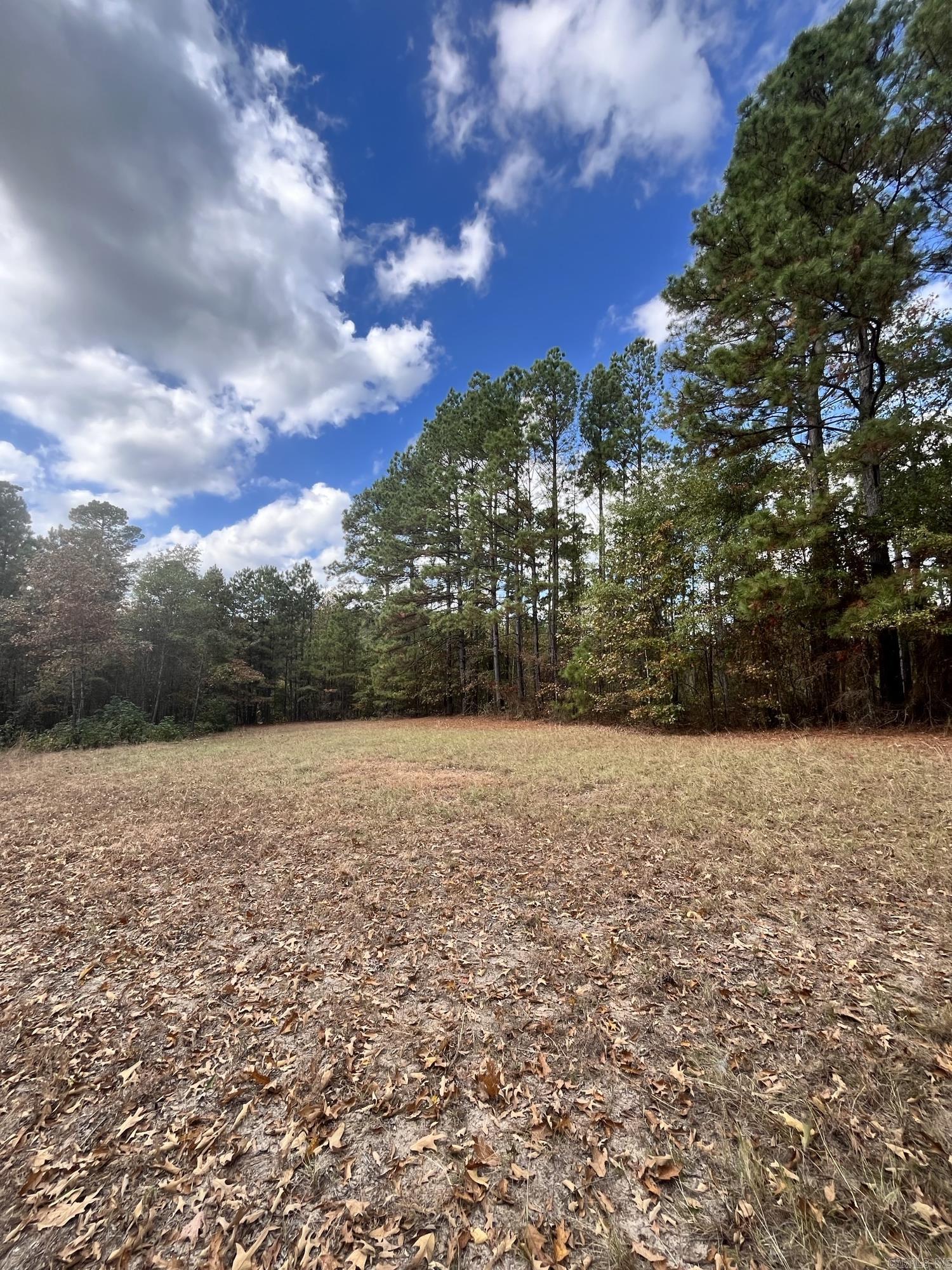 13292 Highway 51 S