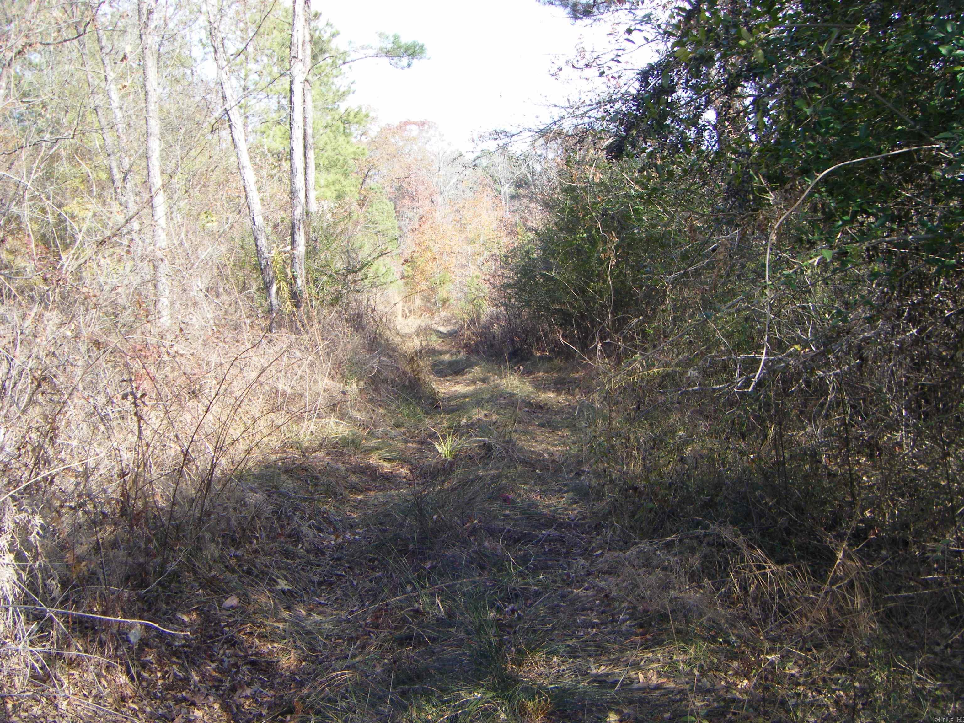 TBD E Whelen Road