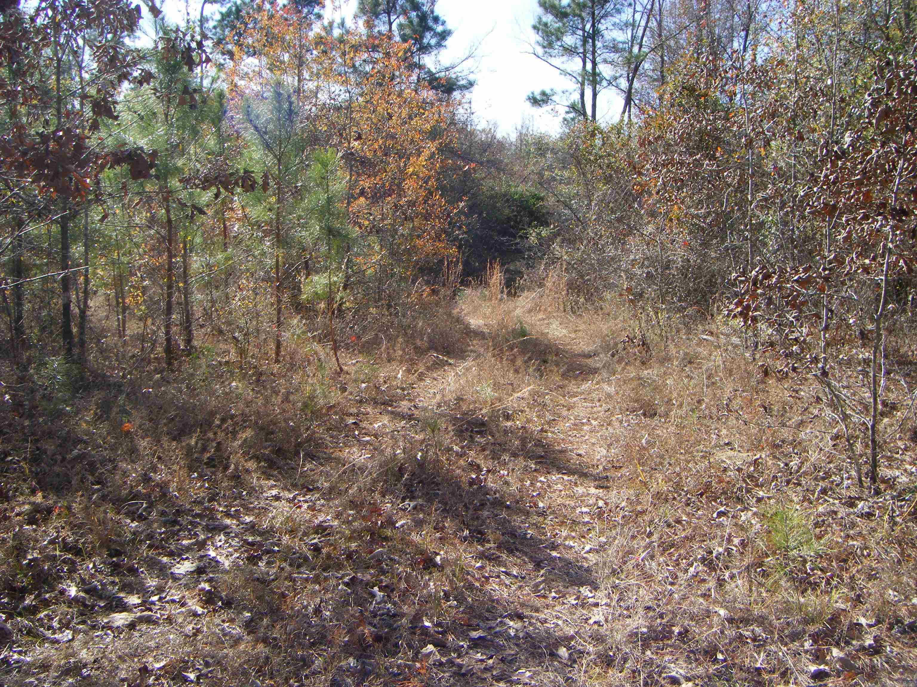 TBD E Whelen Road