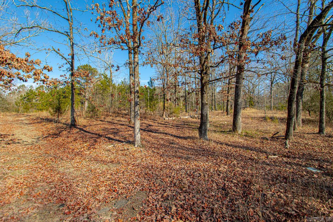 626 Palmetto Loop